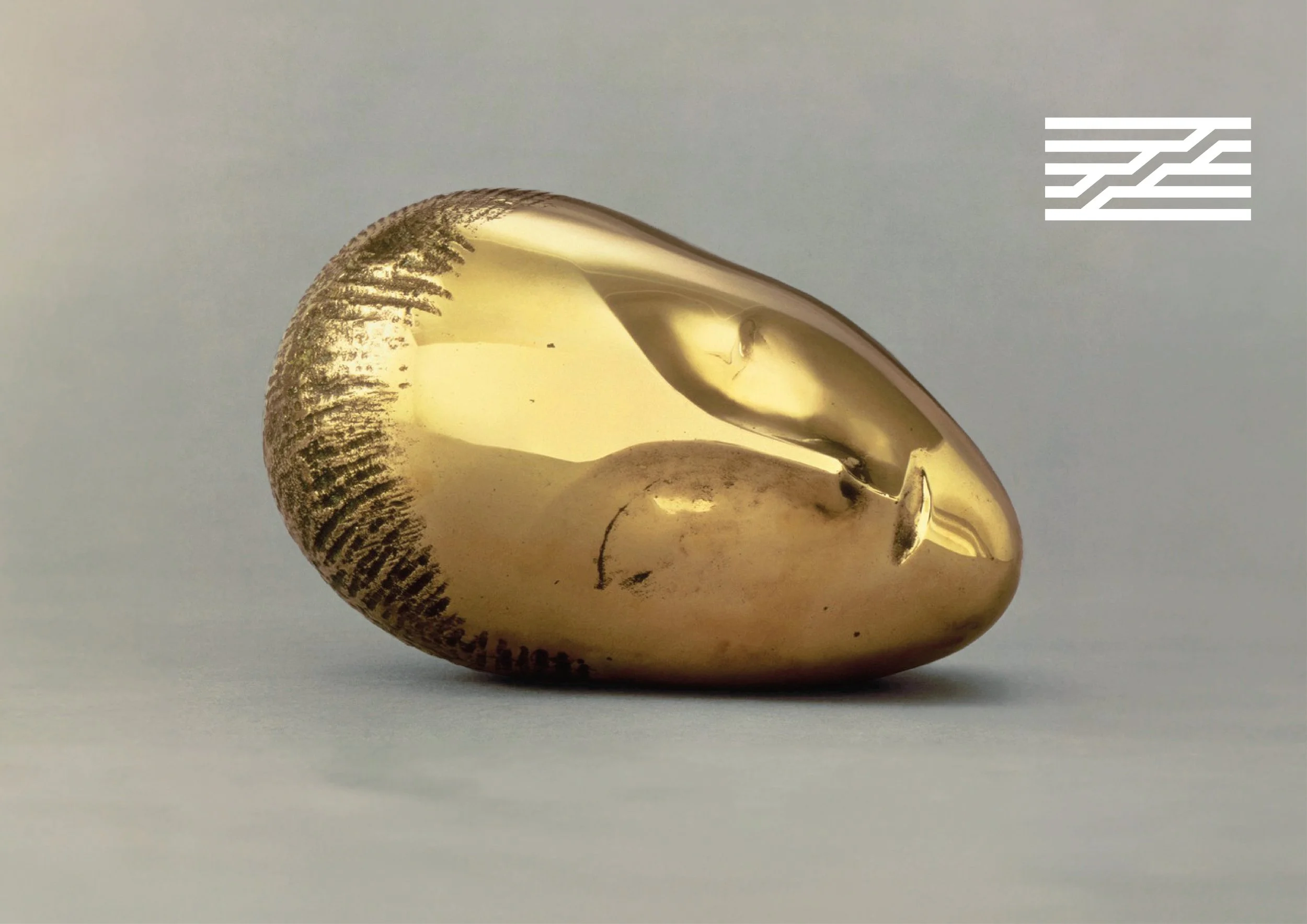 COUV TEASER BRANCUSI v5.jpg