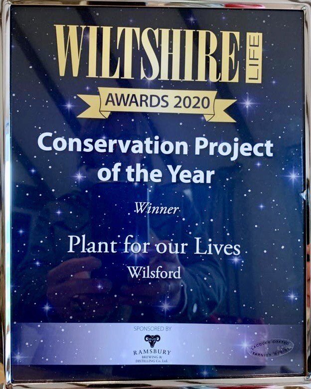 Instagram — Wilsford