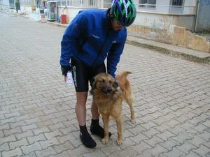 CycleTurkey-2003-1-23-01.jpg
