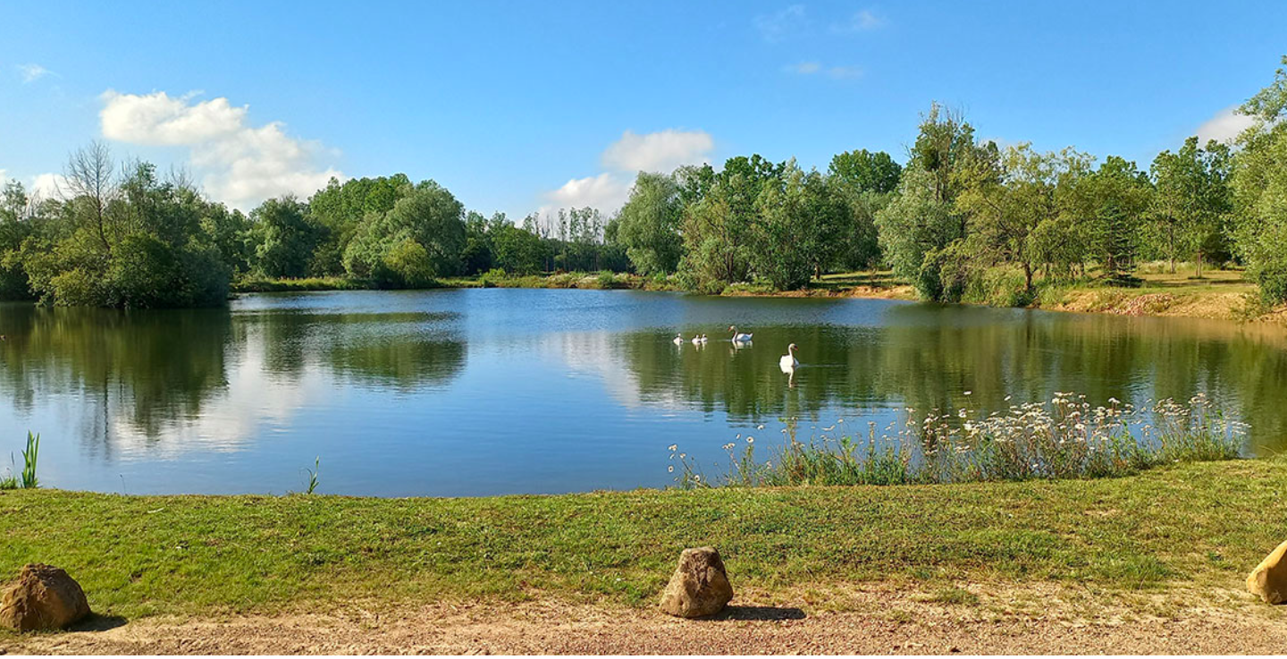 Capture d’écran 2026-02-07 à 16.14.12.png