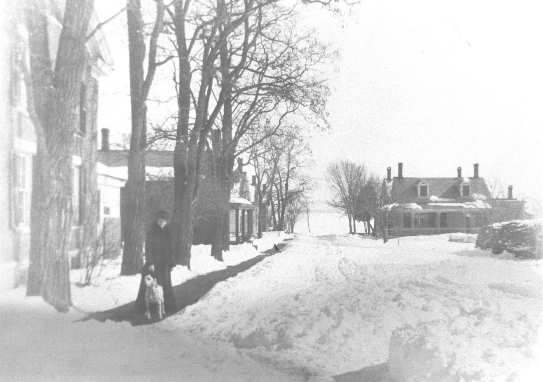 Screen Shot 2024-01-26 at 2.40.58 PM.png