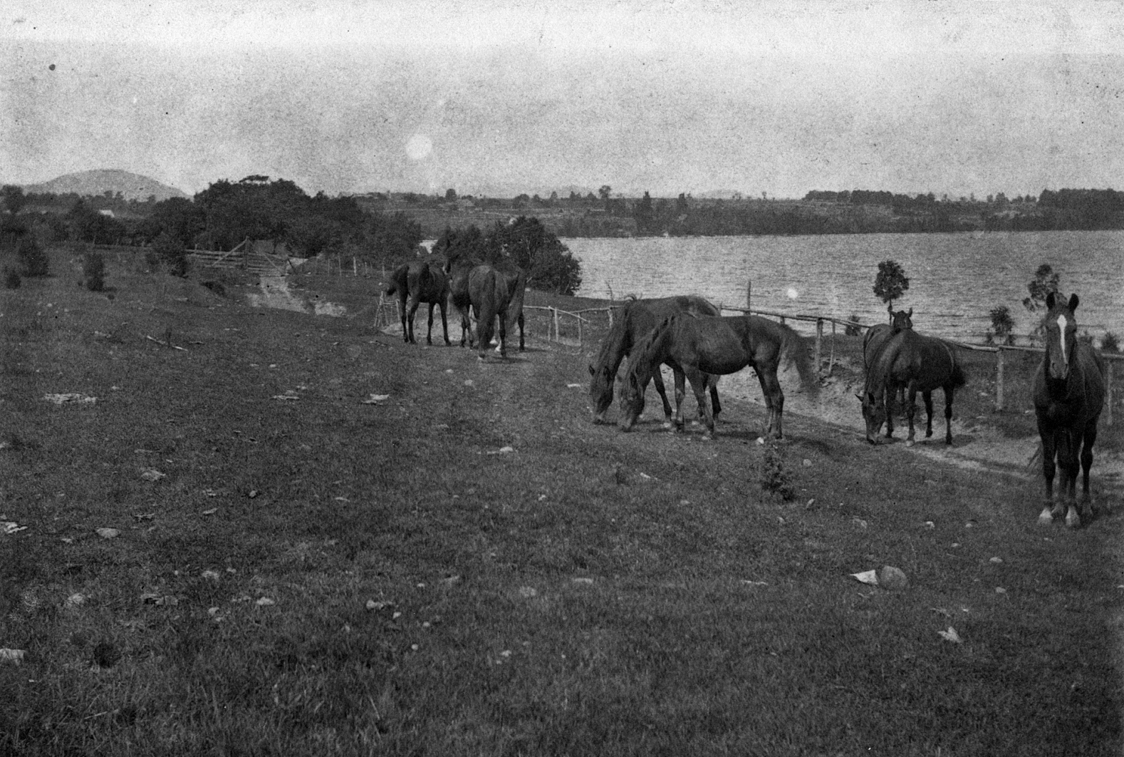 Screen Shot 2024-01-26 at 2.45.12 PM.png