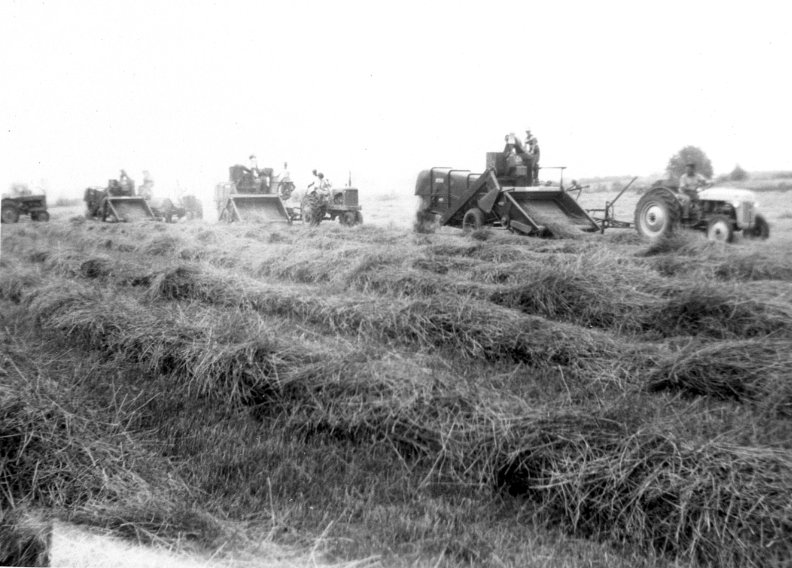 Screen Shot 2024-01-26 at 3.51.20 PM.png