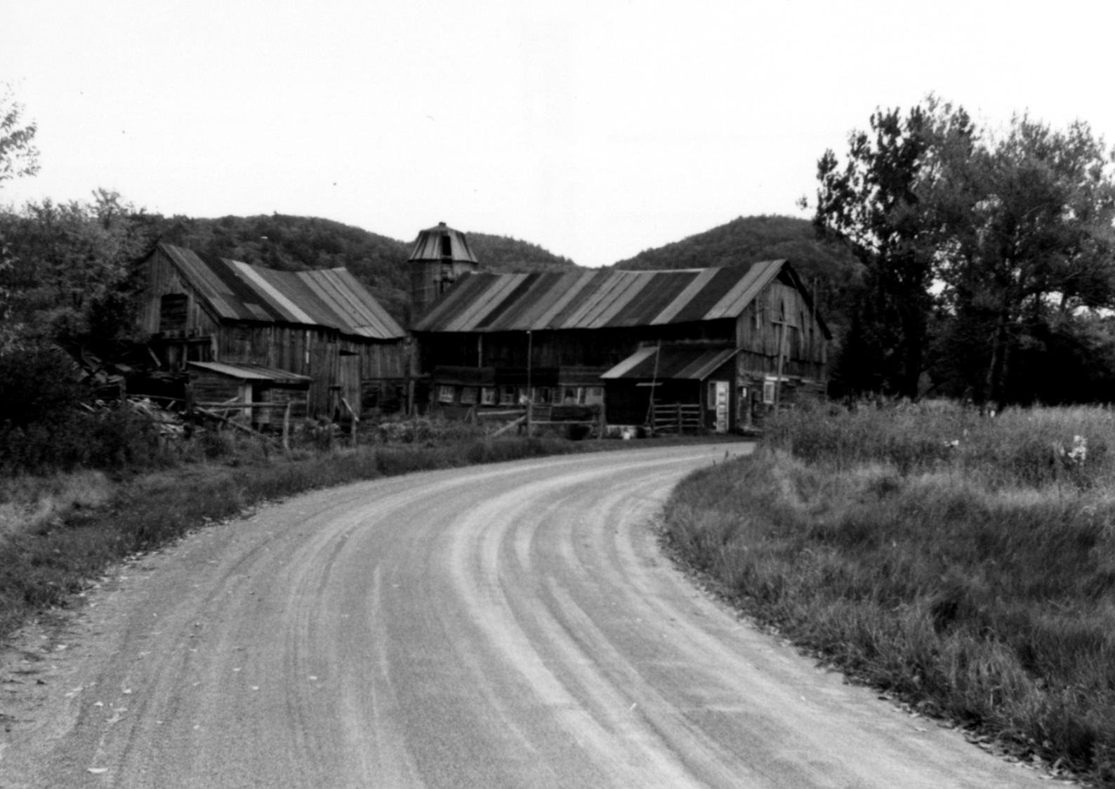 Screen Shot 2024-01-26 at 3.24.45 PM.png