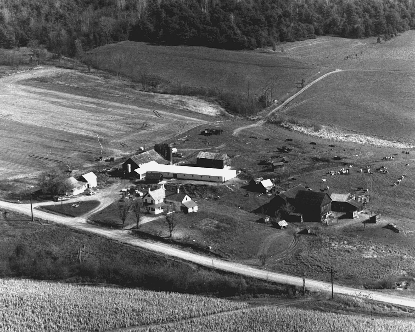 Screen Shot 2024-01-26 at 3.28.48 PM.png