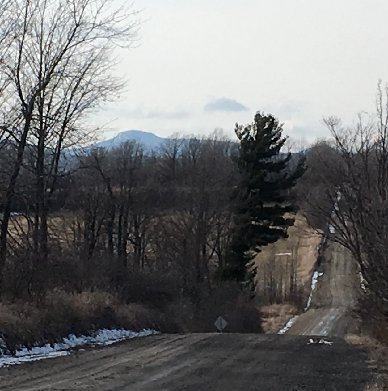 Screen Shot 2024-01-26 at 3.13.15 PM.png