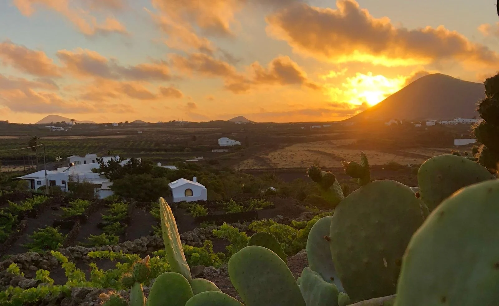 Reconnect &amp; align; Mind &amp; body retreat for men - 2nd time retreat