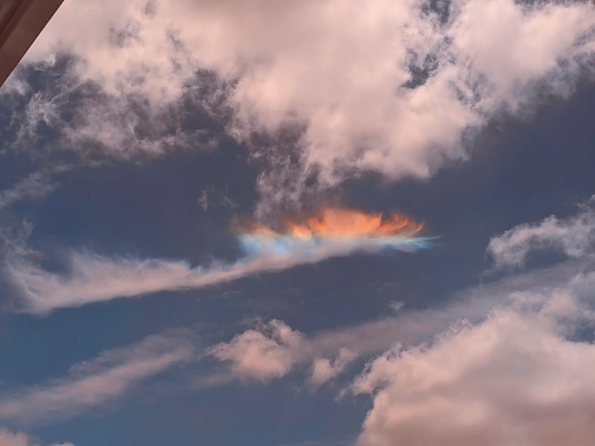 Mindfulness online from your own home