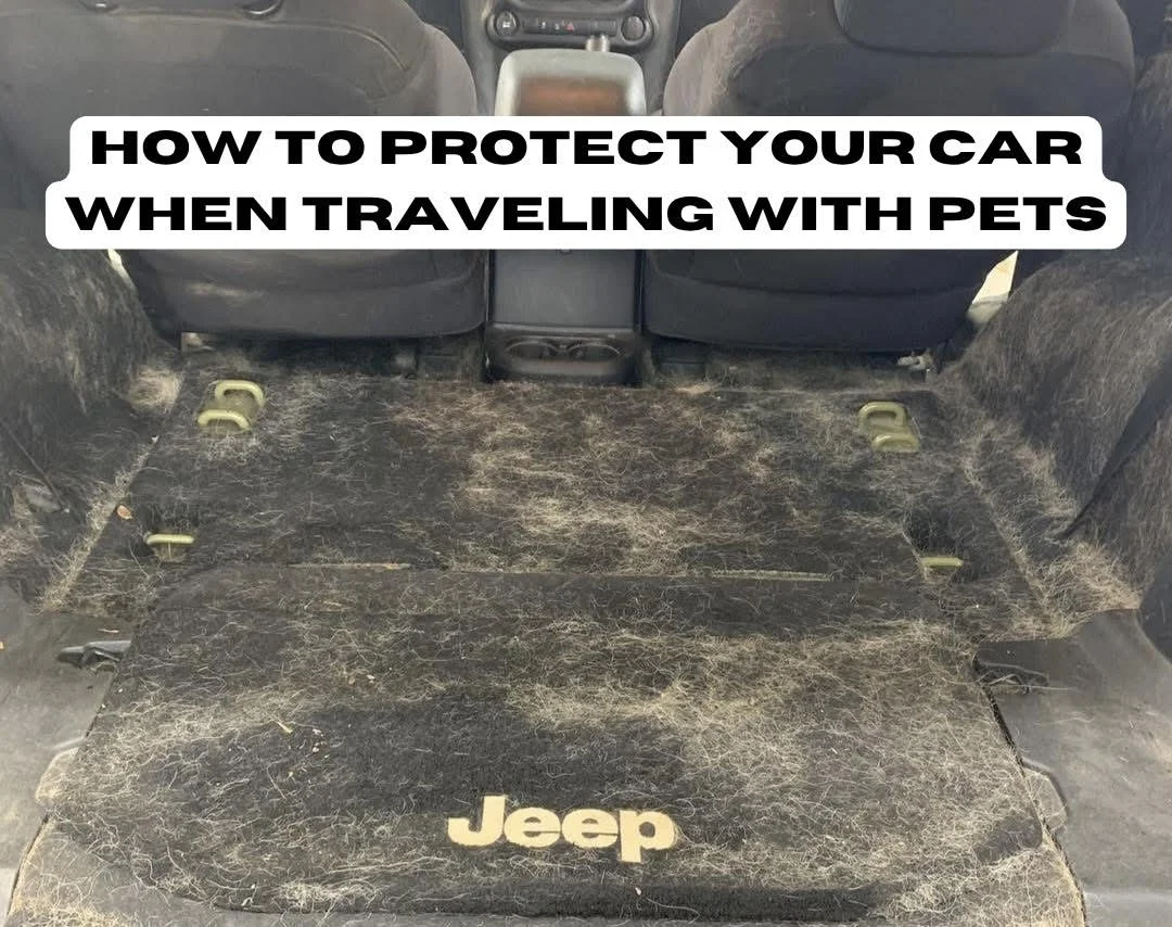 Traveling with Pets This Summer? Here’s How to Protect Your Car’s Interior