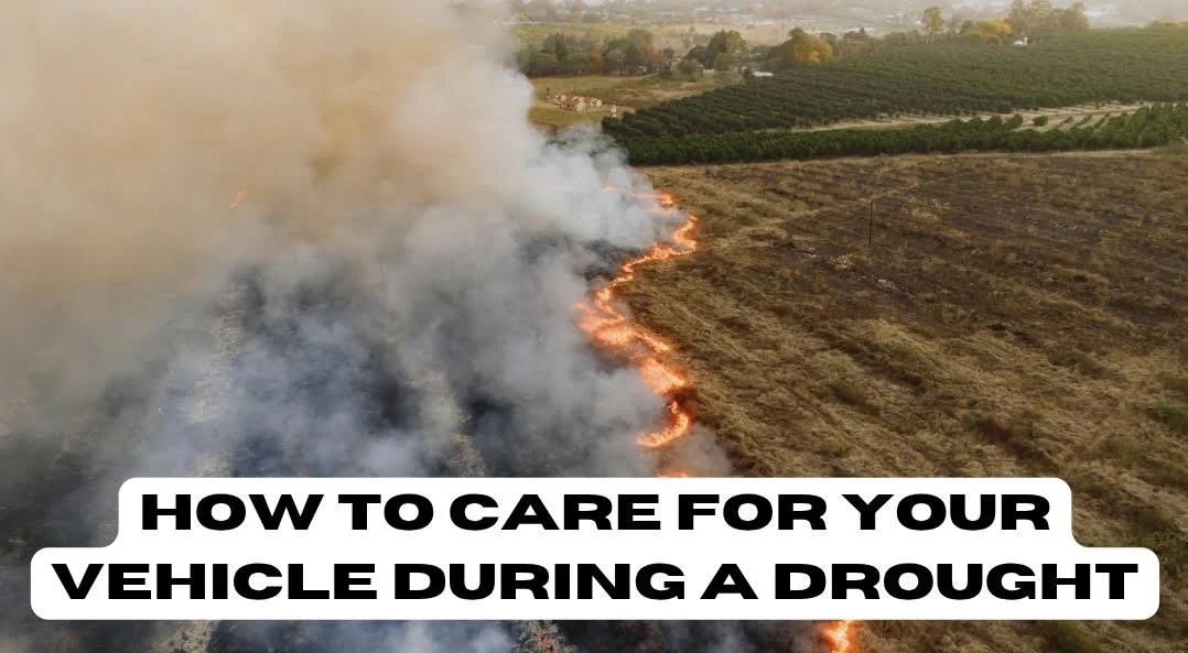 How to Care for Your Car During a Drought (Without Causing Damage)