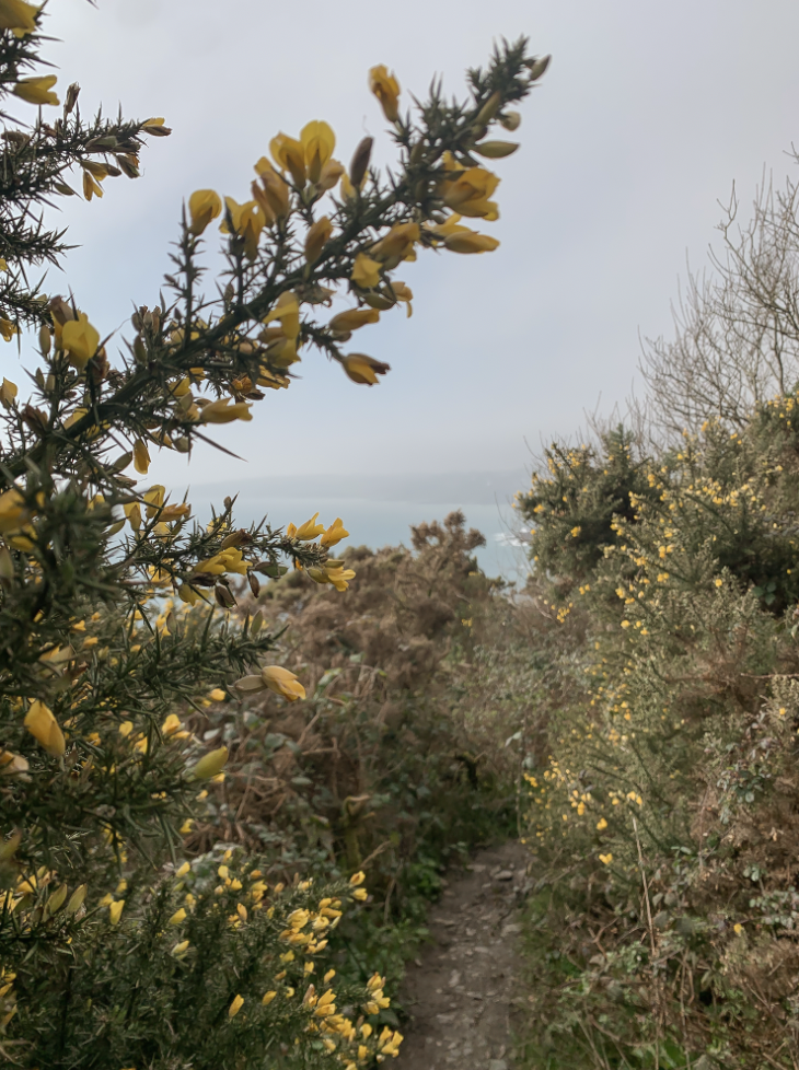 How to Know You’re in Perimenopause: Signs You’re Stepping Onto a New Path