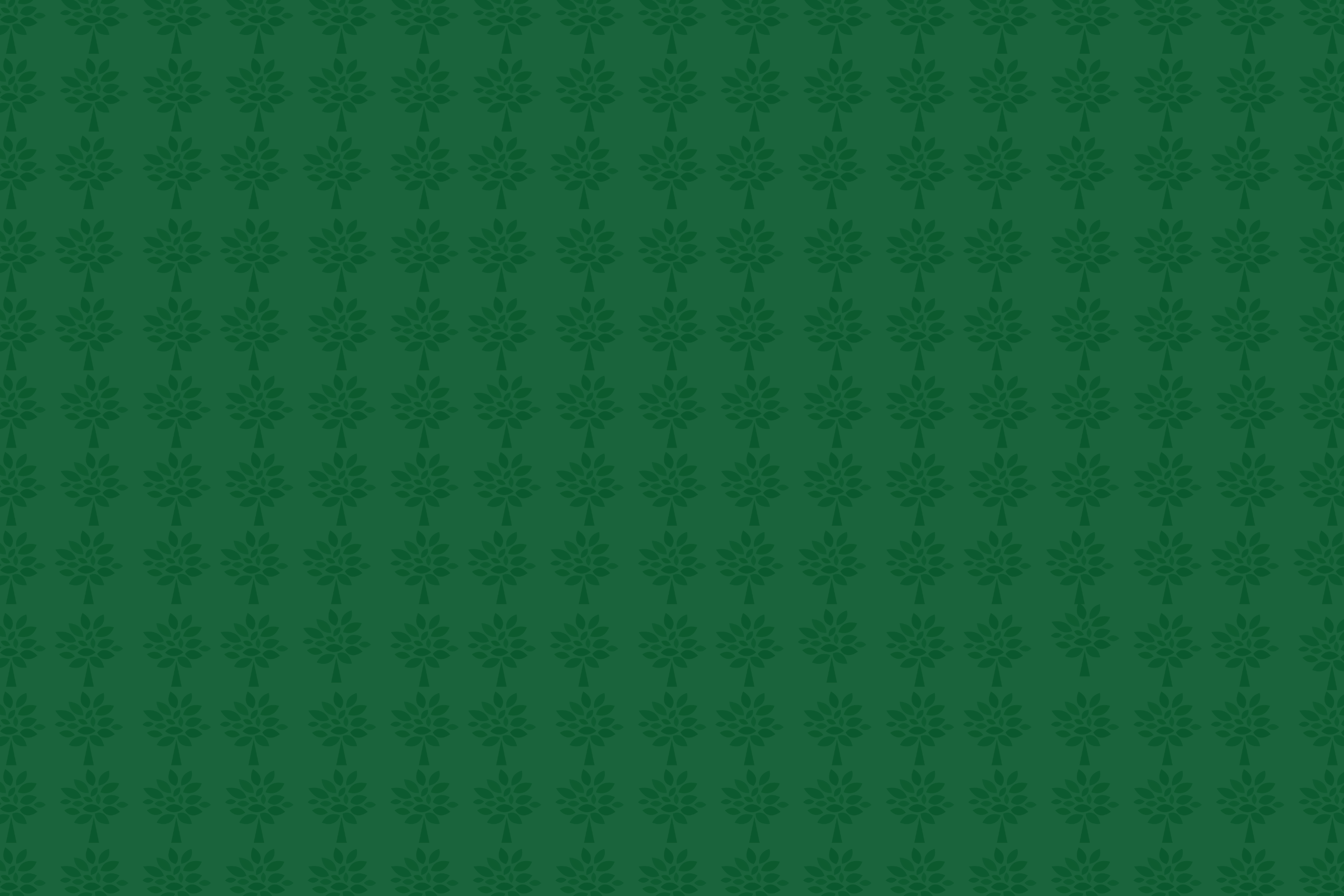 Harbor Care Nashua NH.png