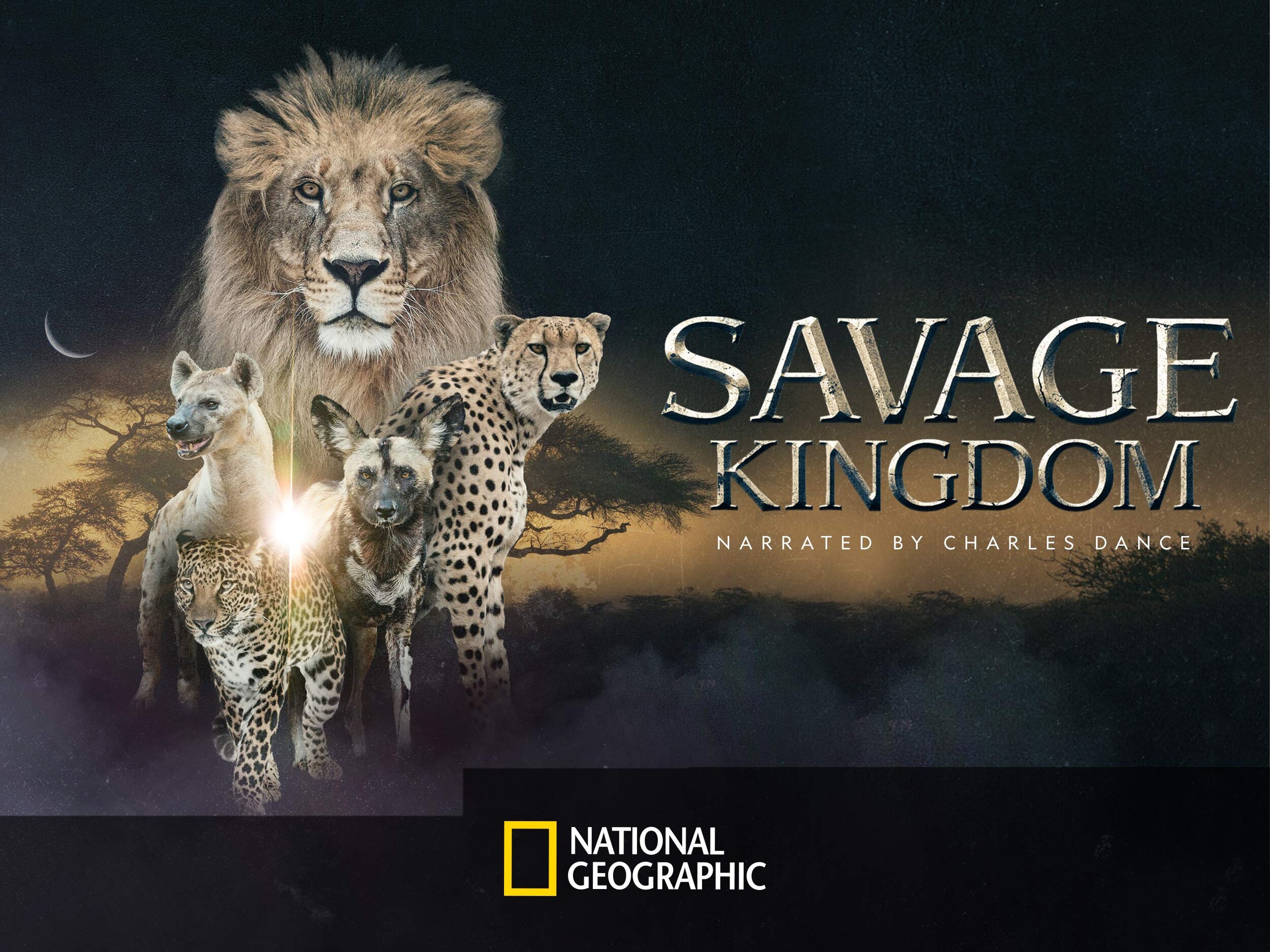 Программа дикой природы. Нат Гео вайлд. Savage Kingdom. National Geographic Wild. Канал National Geographic животные.