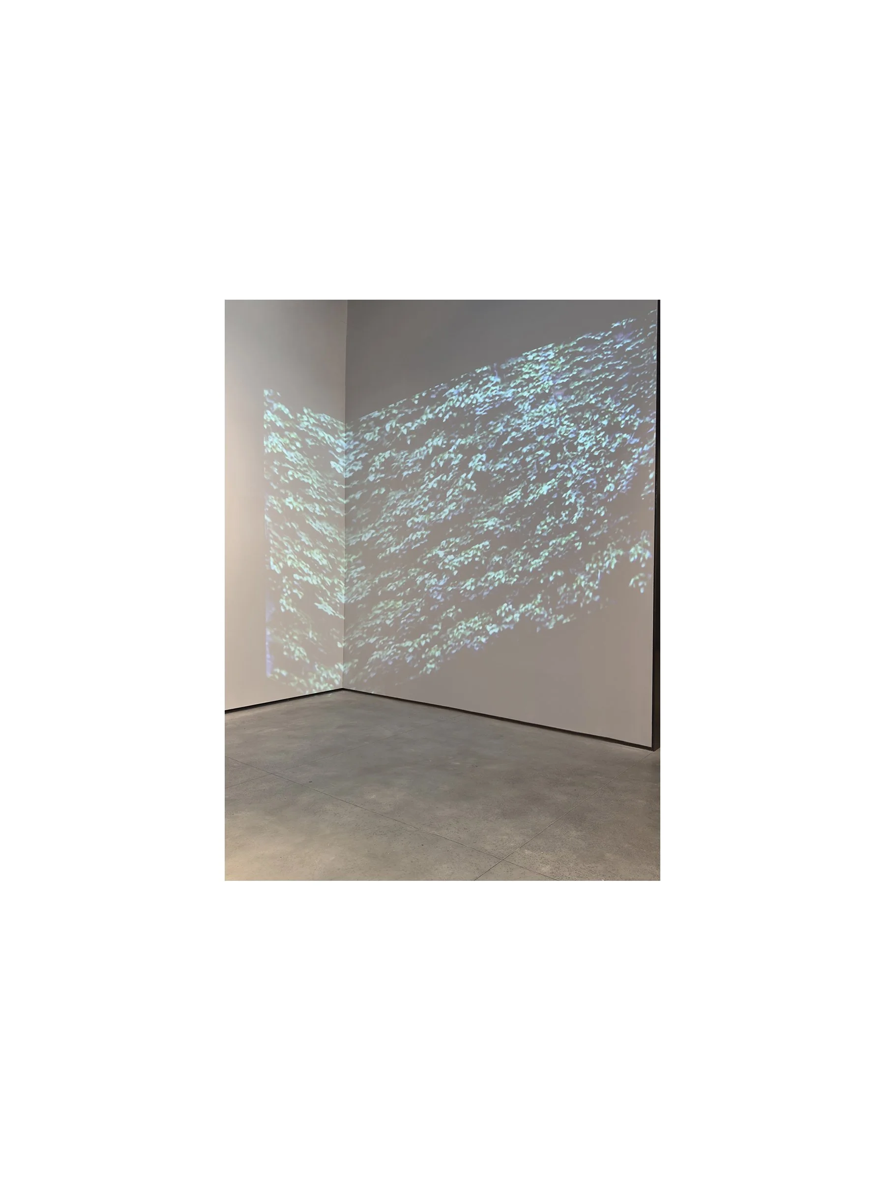 for the birds   I   2003/2026   I   single channel video, color, sound   I   loop: 24 minutes 29 seconds   I   dimensions variable    I    install view: arms ache avid aeon: Chapter 9 in "In Minor Keys" curated by Koyo Kouoh in the 61st International
