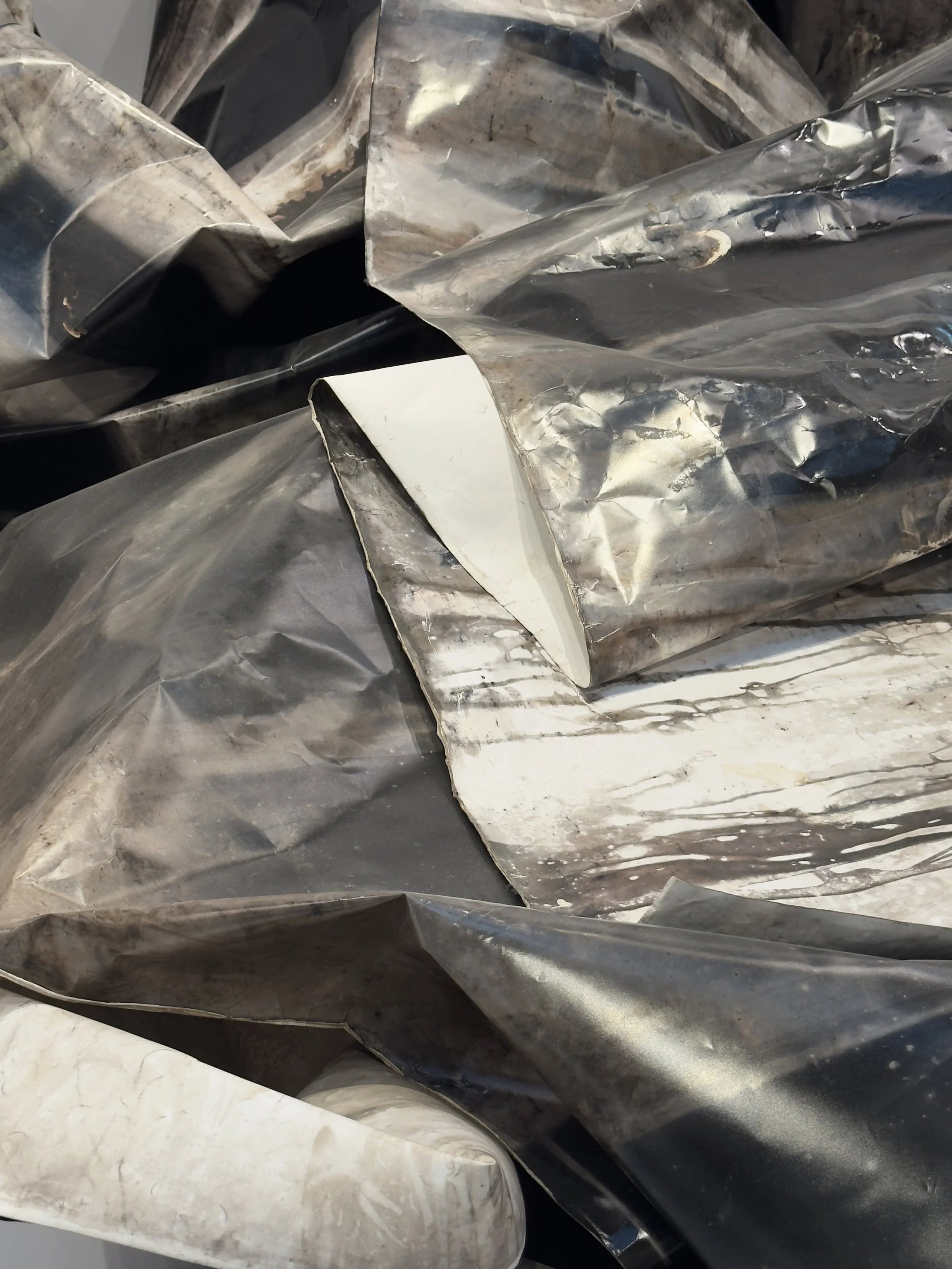 Detail: foldtogram (brackish waters, NYC / Venezia, rcp 95 ft x 50 in), iteration 1    I    2026    I    light sensitive emulsion coated paper    I    95 ft x 50 in / 2896 x 127 cm, installation dimensions variable    I    arms ache avid aeon: Chapte