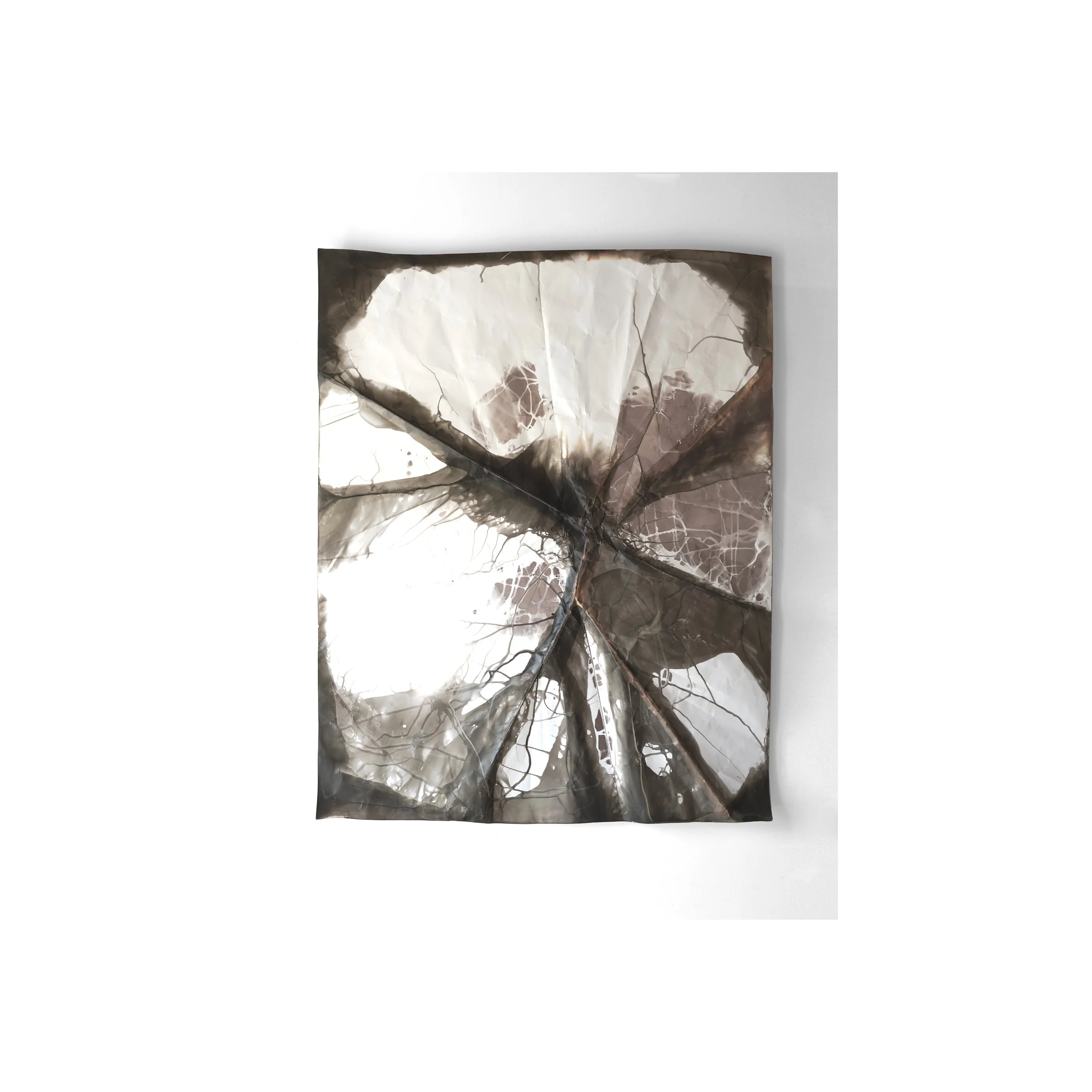 foldtogram (rcs 1, January, 3 part, iteration 2)   I    2023   I   silver gelatin object   I   dimensions variable   