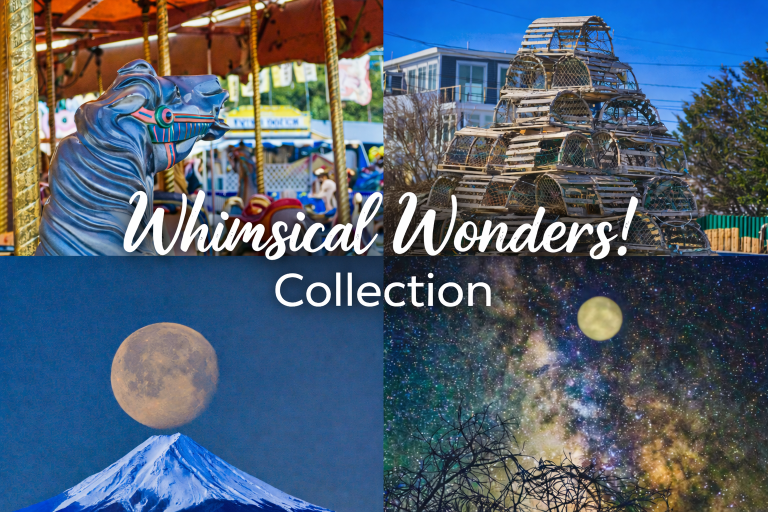 Whimsical Wonders!
