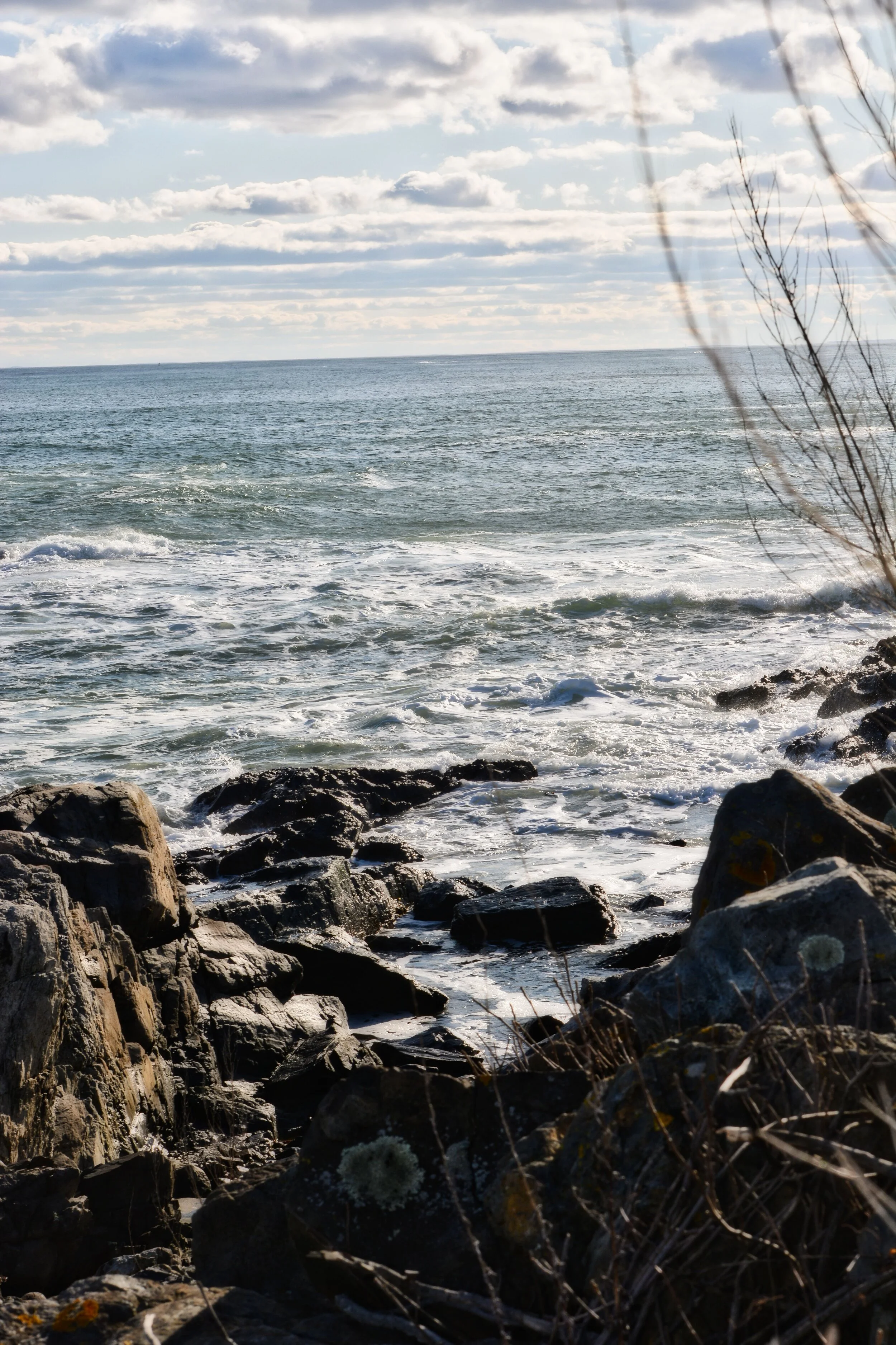 AS-319598512 -DSC_0176[1].jpg
