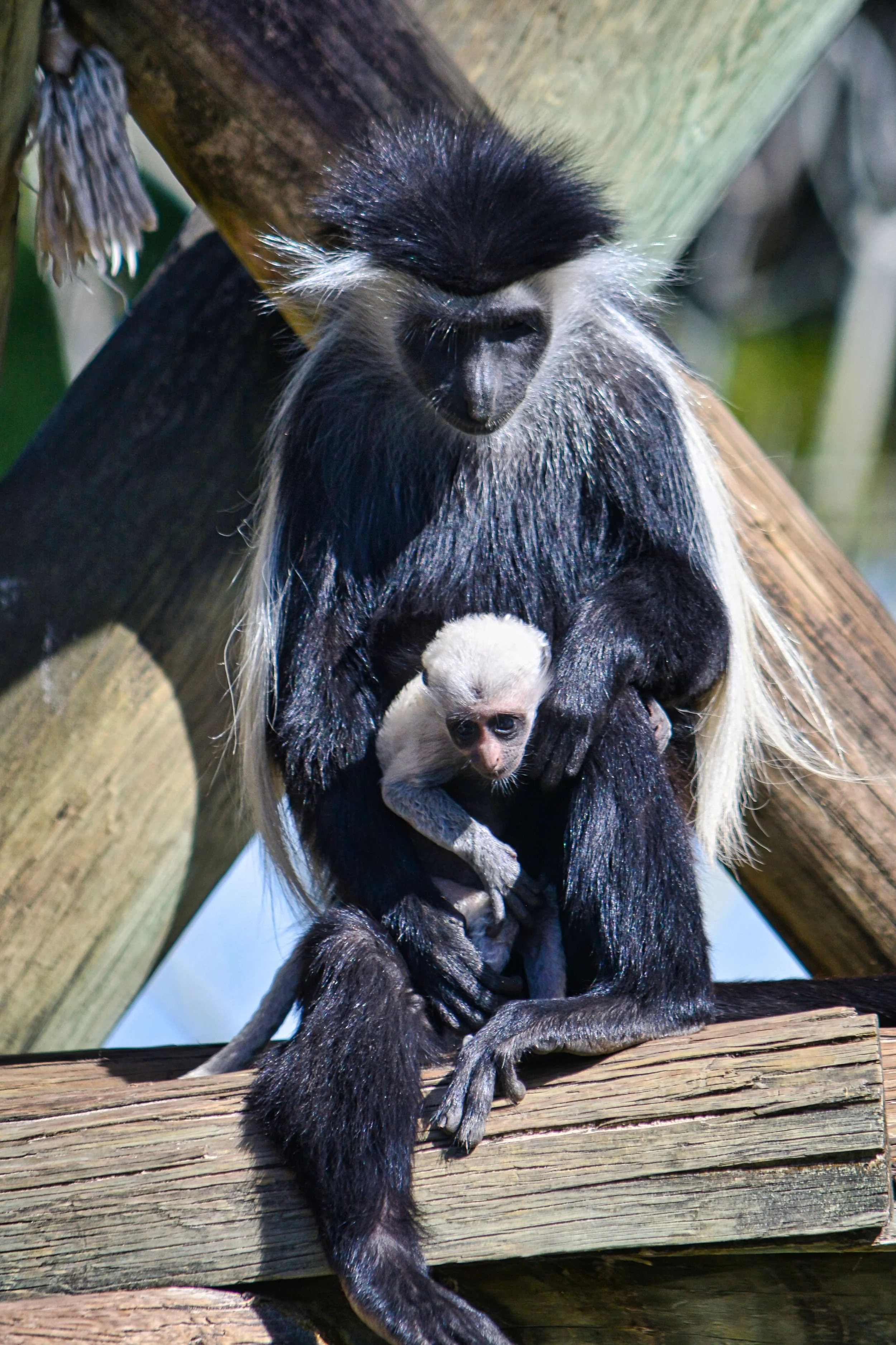 Sheltered Beginnings