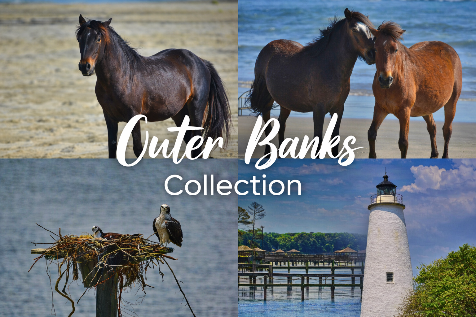 Outer Banks