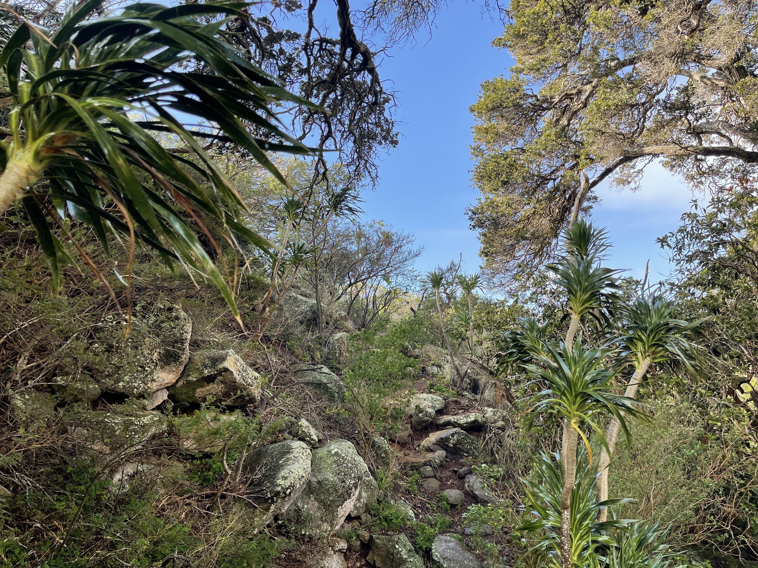 151876F6-EDB2-4917-A9E3-FAF09A237FF6.jpeg