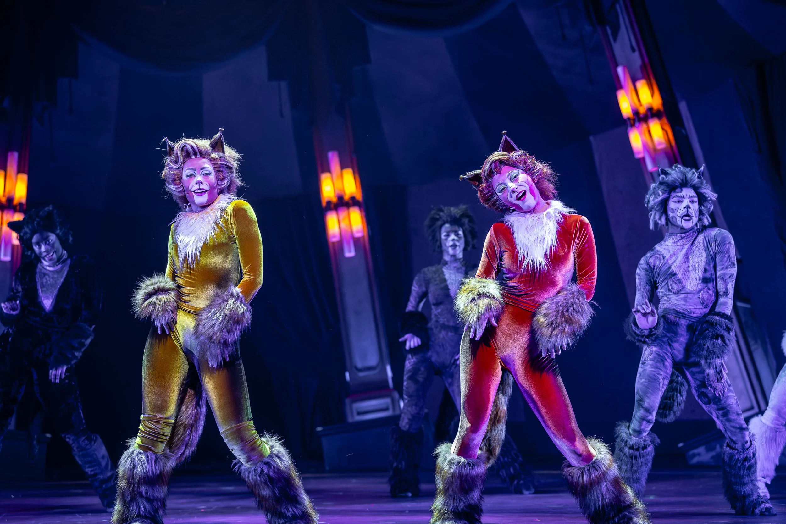 Macavity 2 - Brett Beiner .jpg