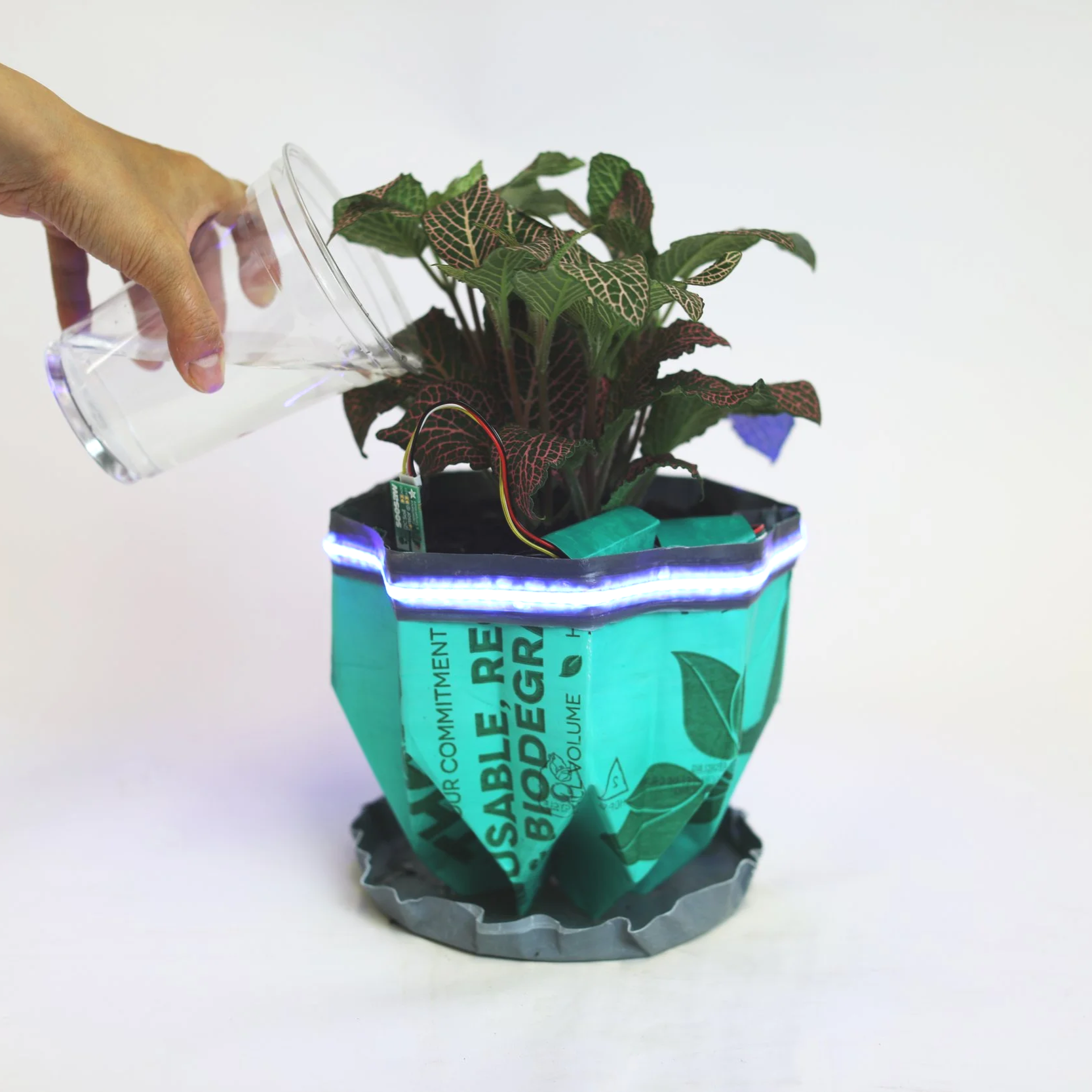 Upcycling Plastic Bags 2