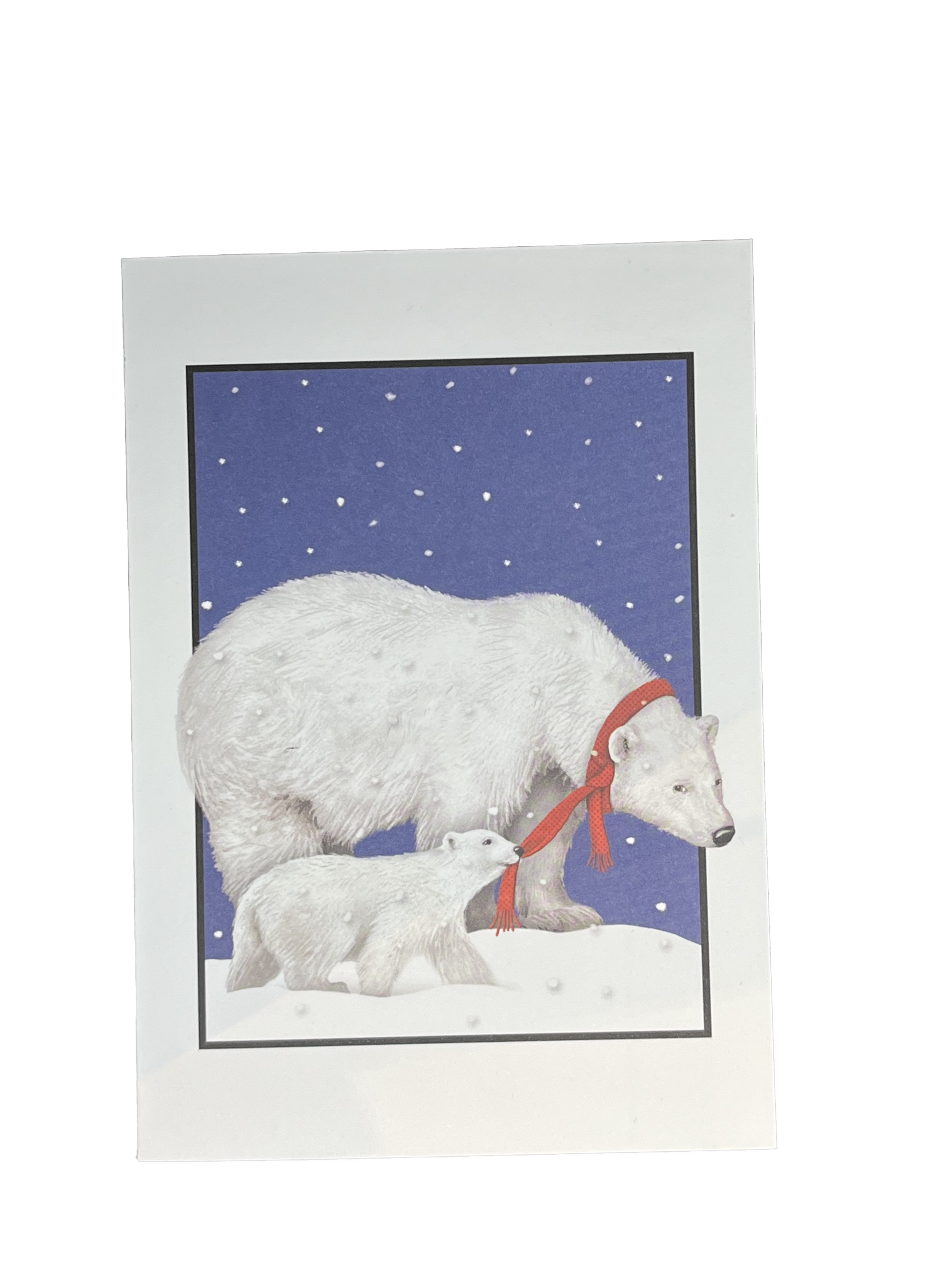 polarbearcard.png