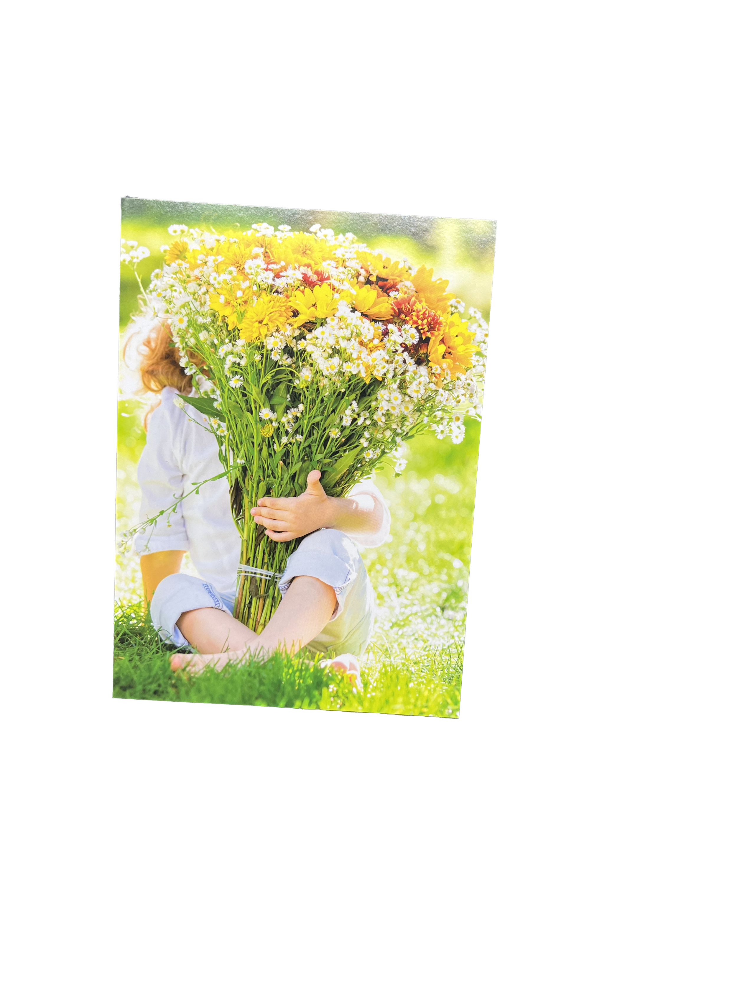 749470EF-ABC4-4345-B9FE-FAF713581021.png