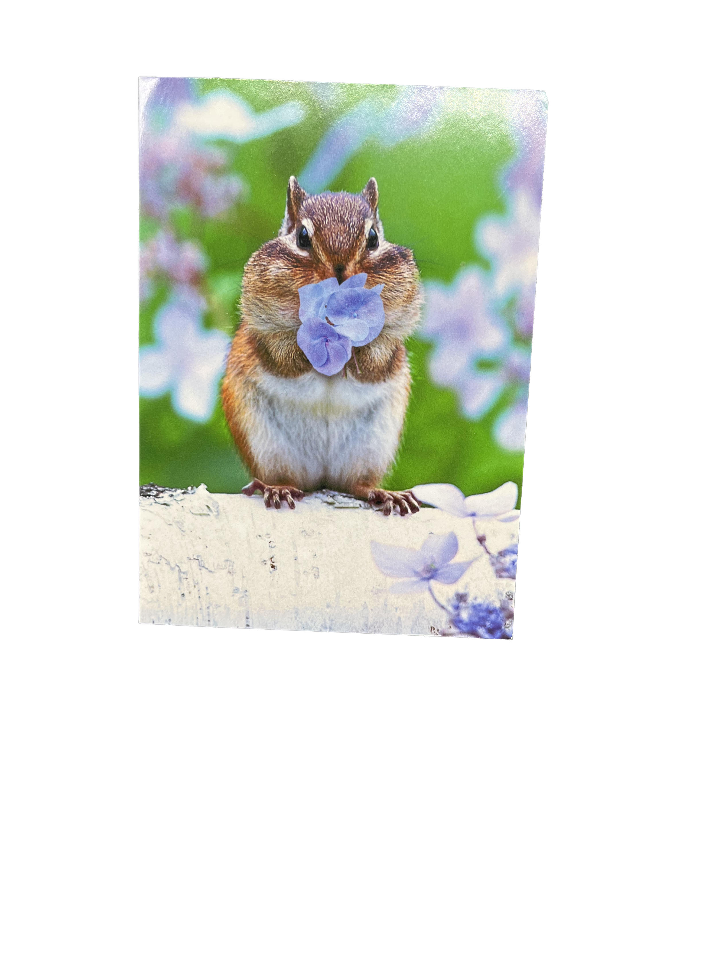 card4.png