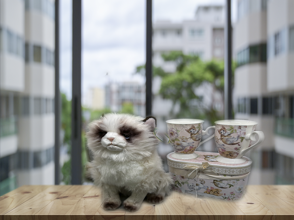 Cat Mug Set and Bearington Collection