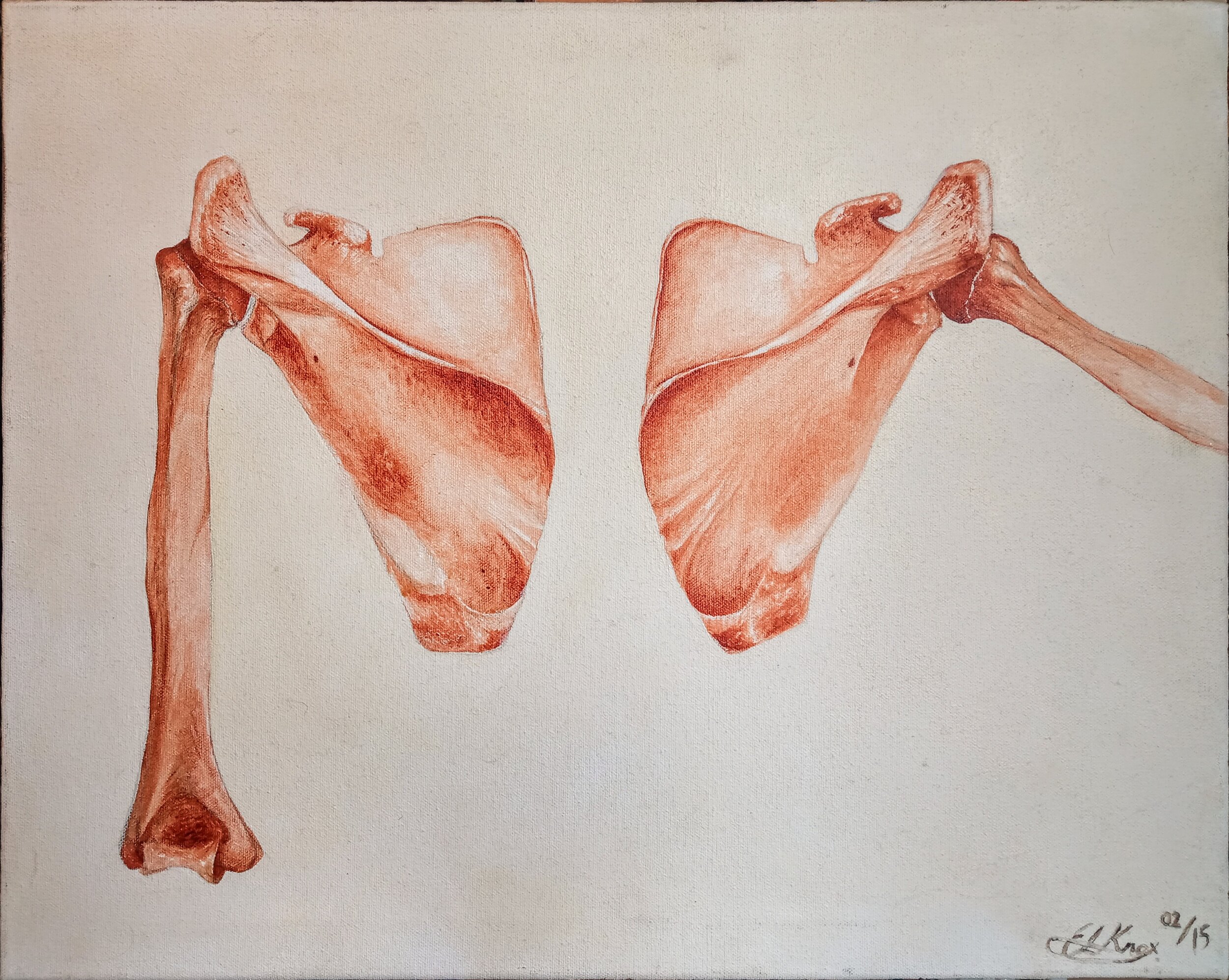'Scapulae' - oil on canvas