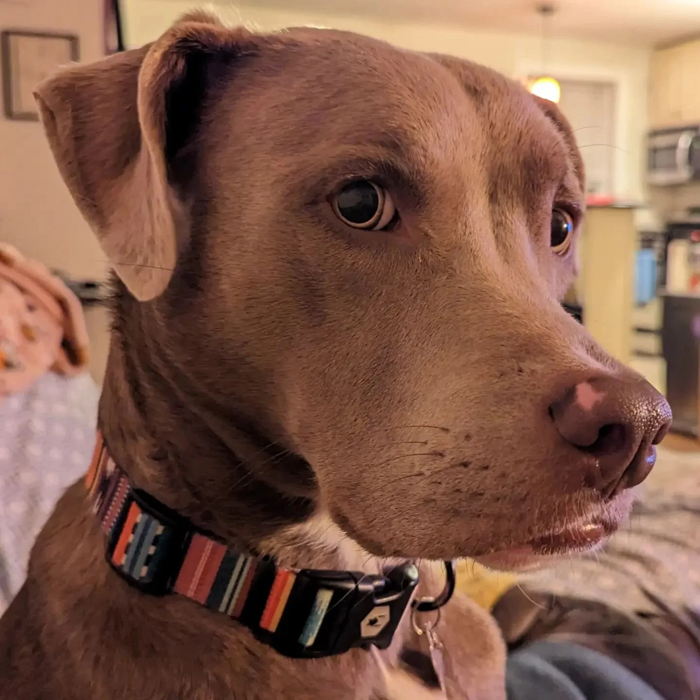 Bradshaw Sauce Co. Small Batch Hot Sauce