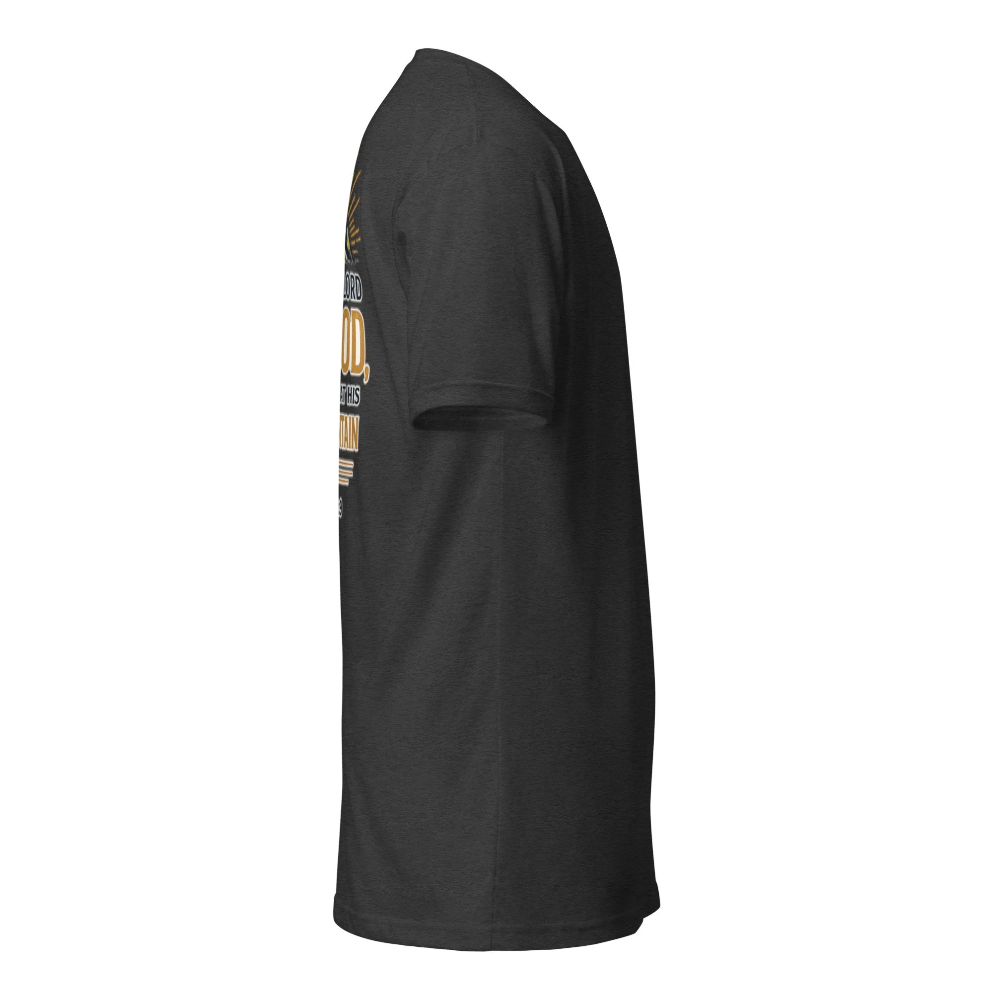 unisex-cvc-t-shirt-charcoal-right-6a30166205183.jpg