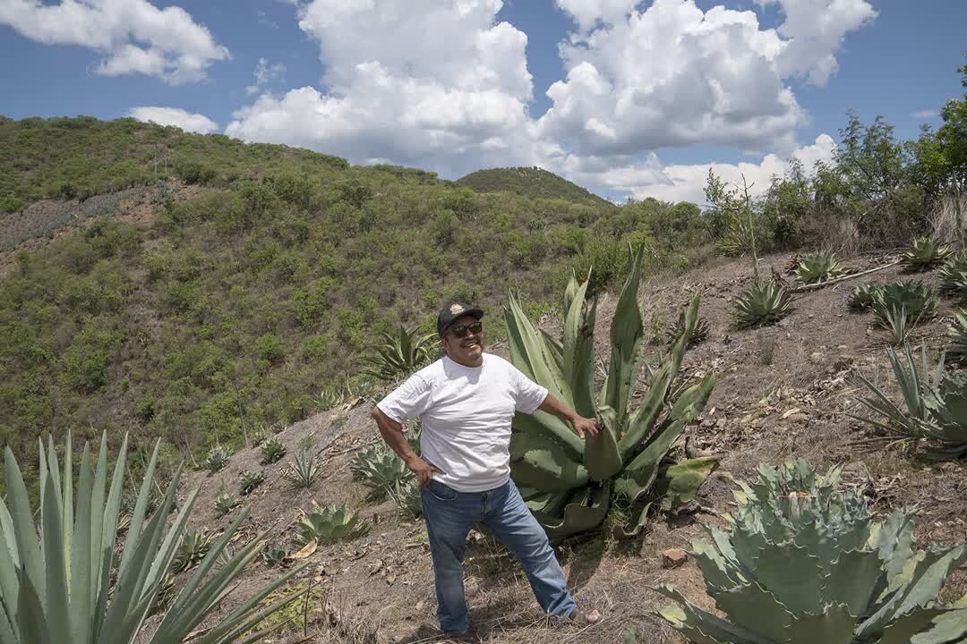 Benesin is one of few Mezcal spirits produced and imported by the same people that have produced and consumed Mezcal for generations. From San Juan del Rio, Oaxaca, Efrain Nolasco always dreamt of showing the world the heritage of its people and that