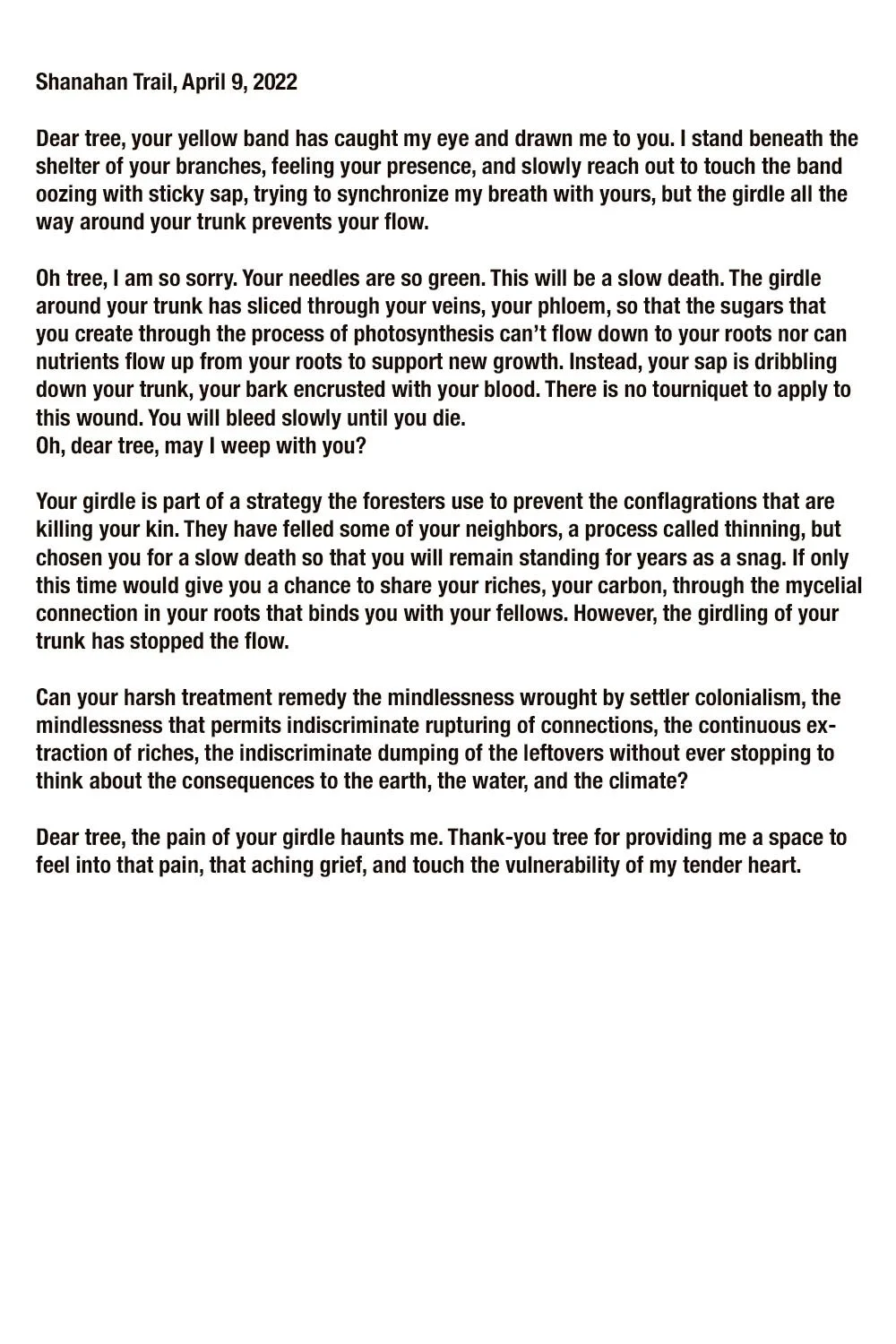 WallenStickyText1web1.jpg