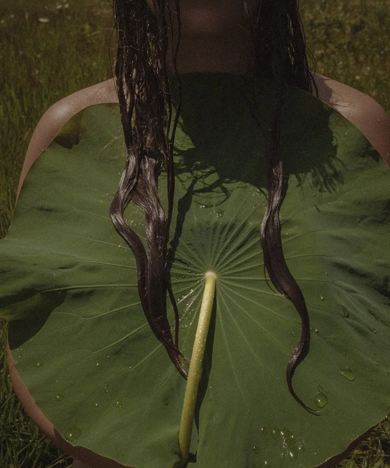 A person standing on a green plant leaf, with long wet hair covering their face, during nighttime.