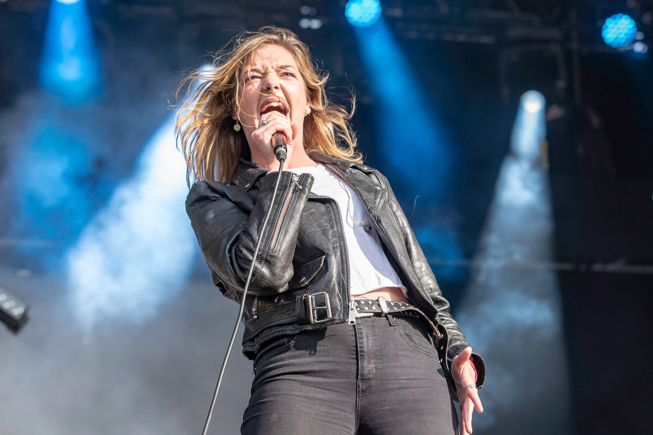 43 - Marmozets.jpg