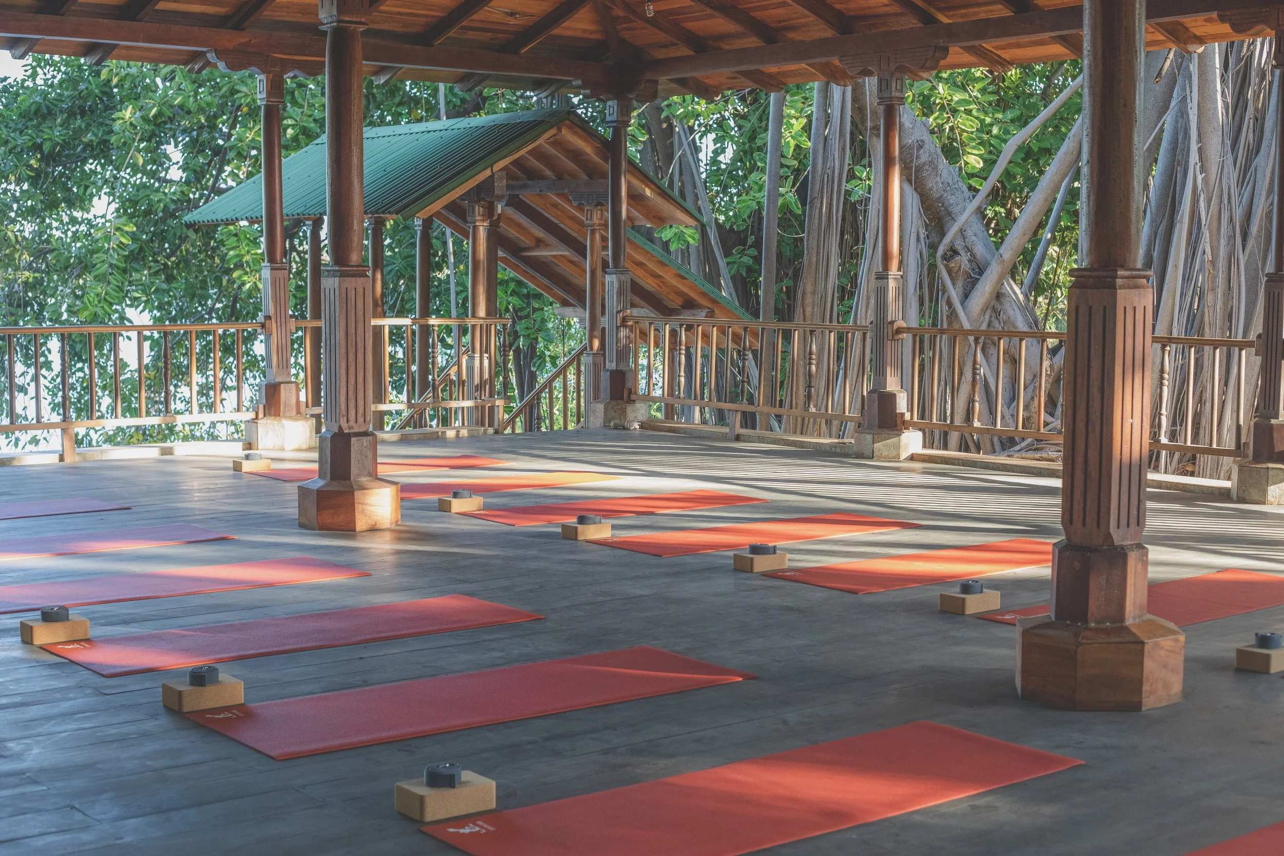 Jungle Yoga Shala