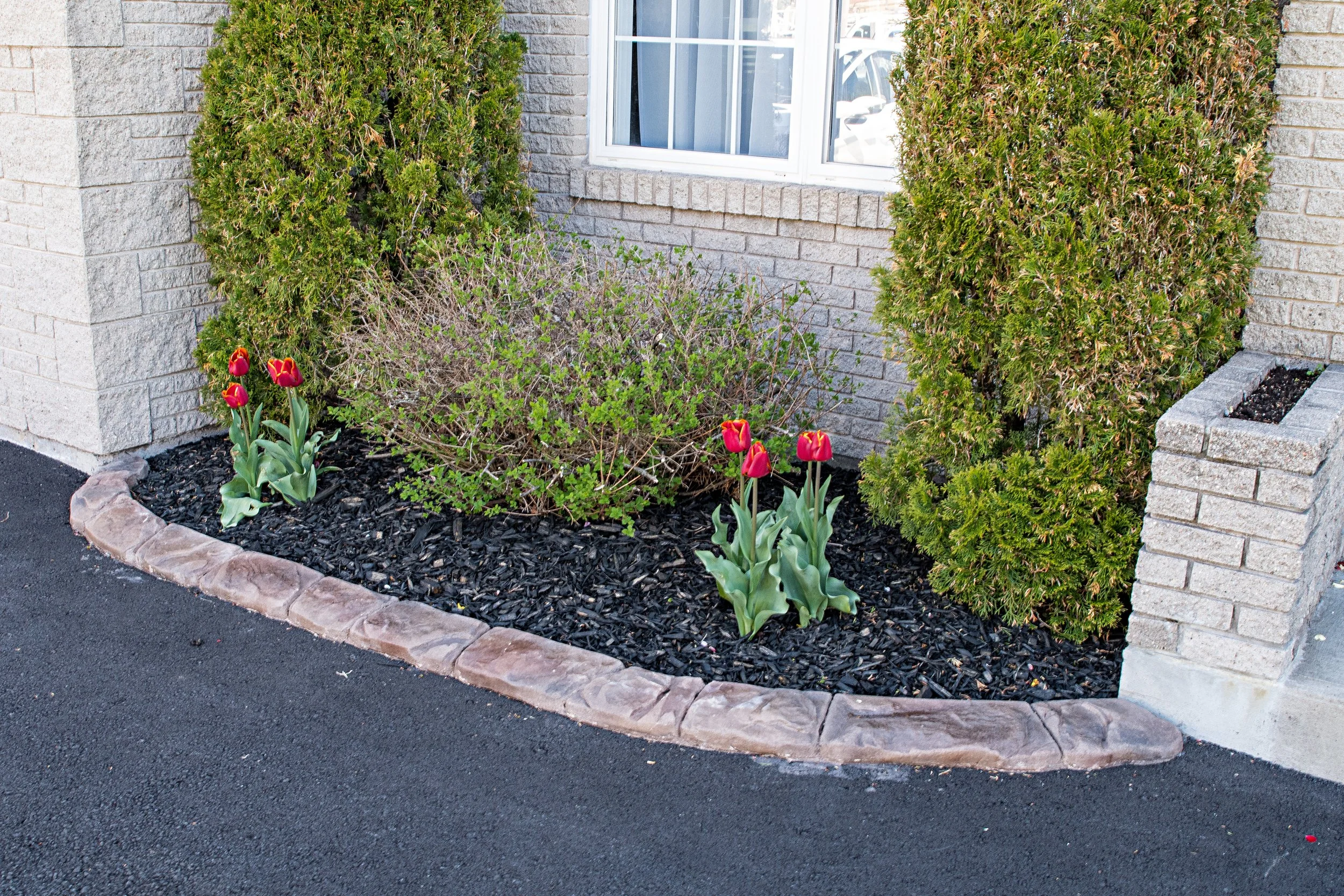 141 Greenwich Drive, Dartmouth 2021 (3).jpg