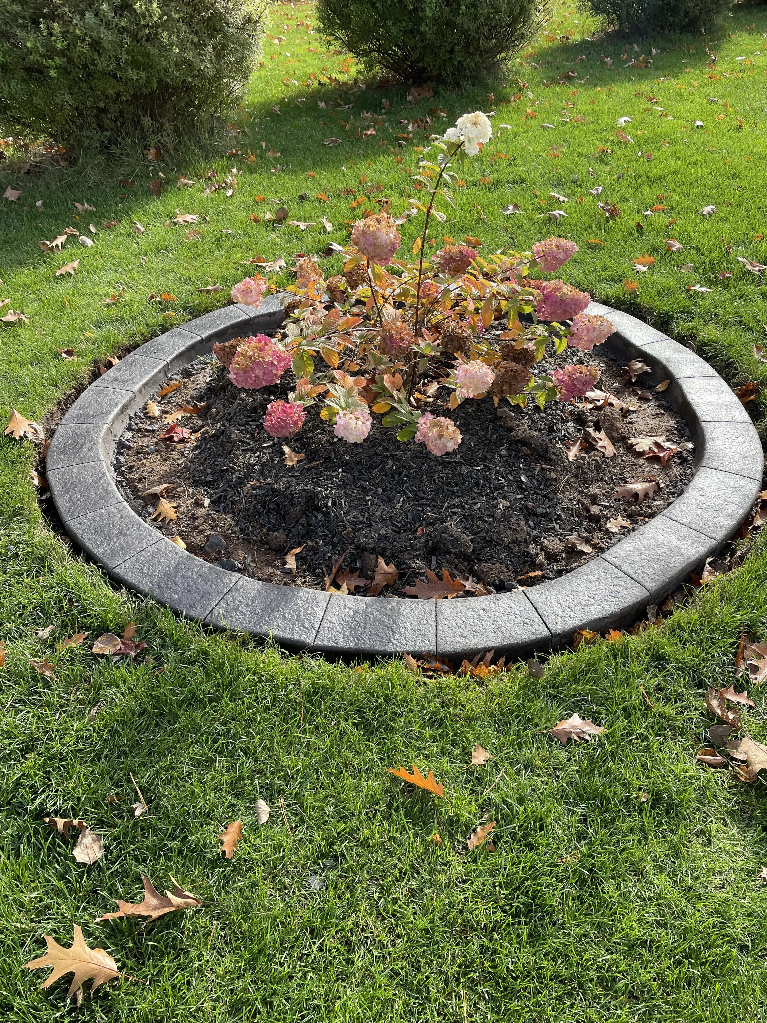 44 Busch Lane, Wolfville -IMG_2846.jpg