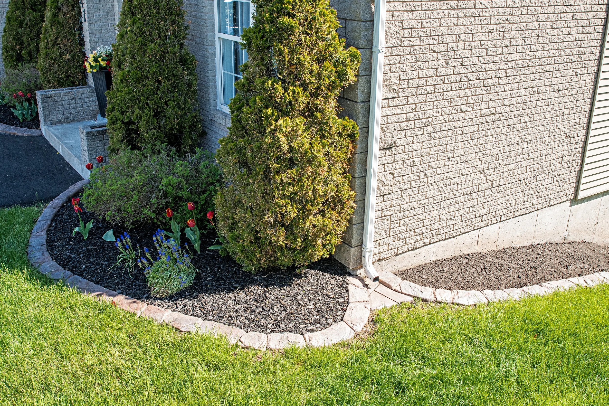 141 Greenwich Drive, Dartmouth 2021 (11).jpg