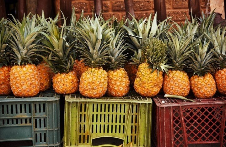 GIVEAWAY!!! 🎉⁠
⁠
Did you know that in the 1800s pineapples were so rare they were seen as symbol of wealth? Back then, pineapples were so rare, and consequently so expensive, that it would have cost the equivalent of $8000 today to purchase one. Tha