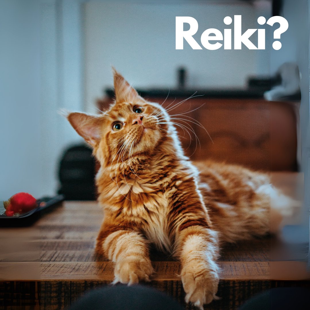 Have you been curious about Reiki?⁠
⁠
✨Reiki is an energy healing practice that promotes balance, relaxation, and emotional well-being by channeling universal life force energy. Whether you're new to it or experienced, it's a wonderful tool for deep 