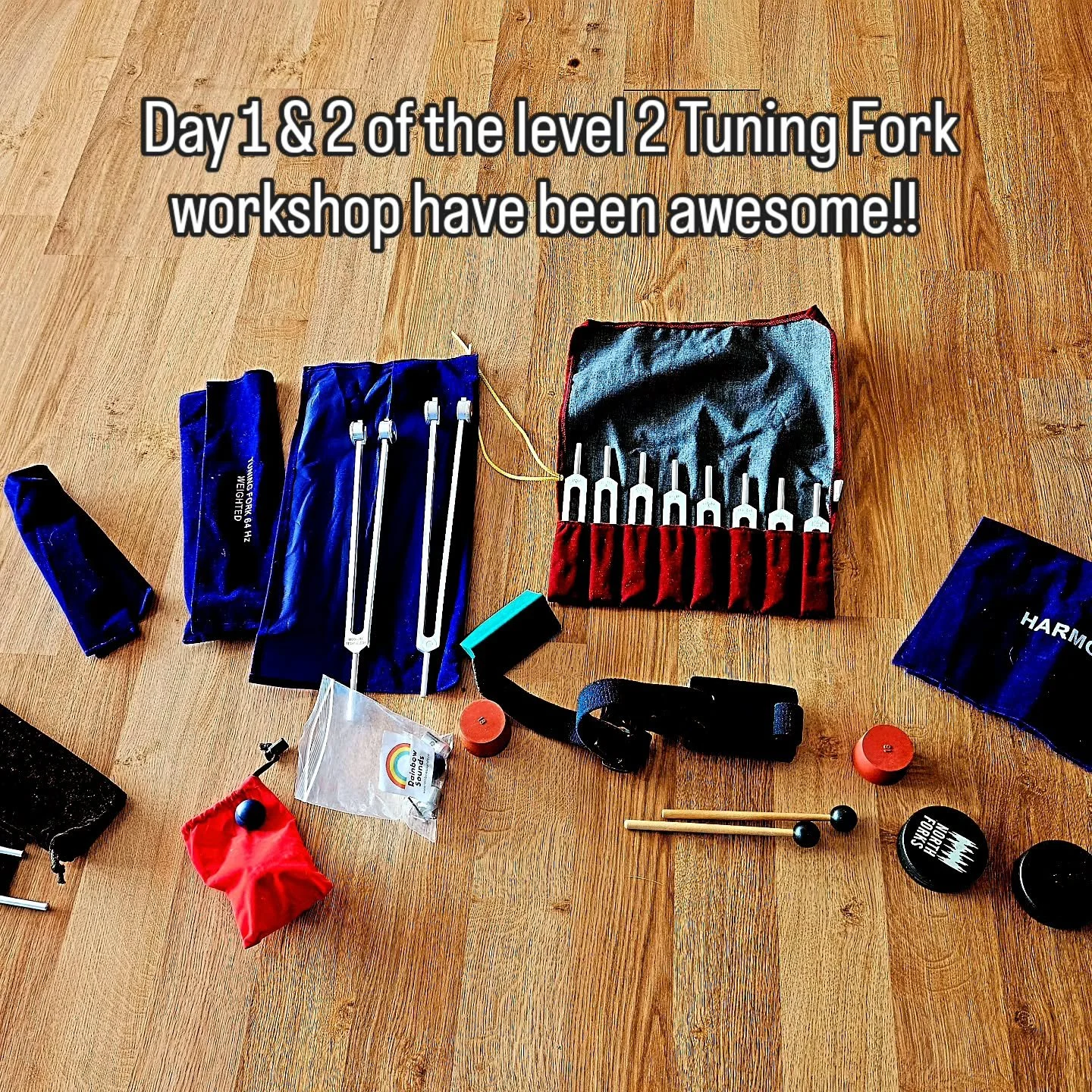 Spent the last 2 days deep in the tuning fork world at Level 2&hellip; and honestly, I&rsquo;m in heaven 🤓✨

There&rsquo;s something so satisfying about getting to really nerd out &mdash; exploring frequencies, techniques, subtle shifts, and all the