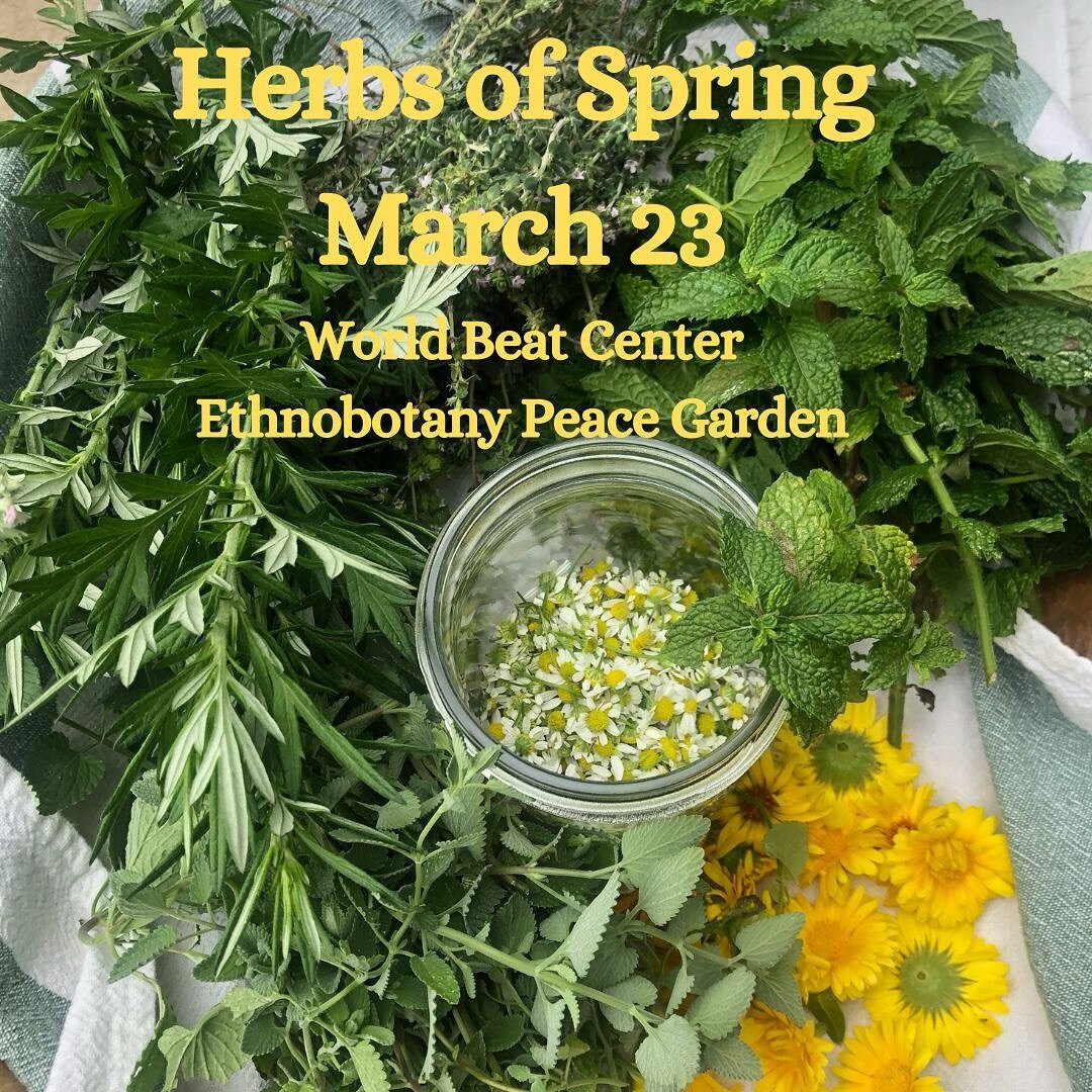 Herbs of Spring Workshop! 💚🍀💚

 The Ethnobotany Peace Garden is a special place. Infused with love from the devoted tending of the garden and a melting pot of plants from many places. I can&rsquo;t think of a better place to hold my Herbs of Sprin