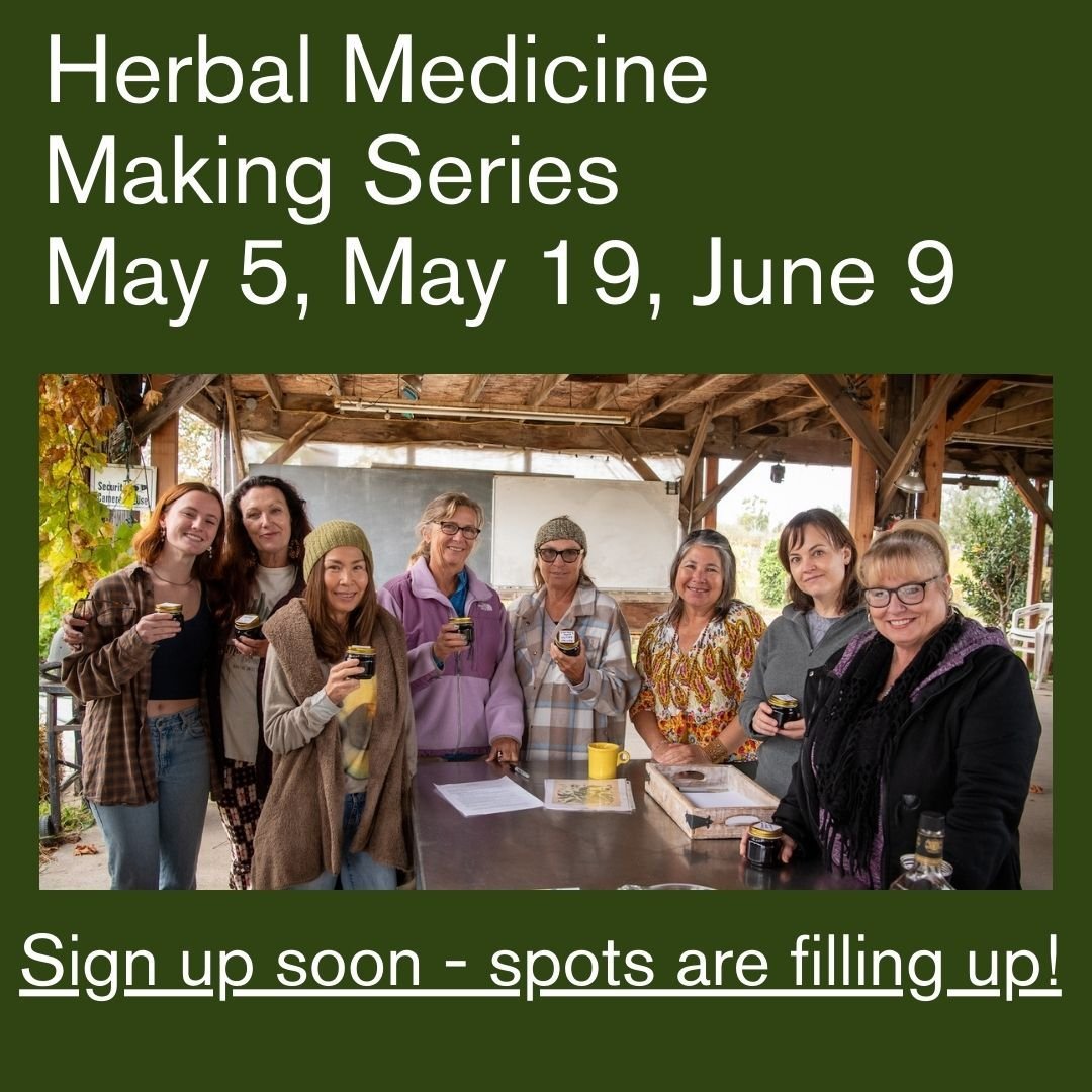 Herbal Medicine Making Series What It&rsquo;s All About?
Empowering you to understand and build your herbal medicine making skills. This class is perfect for anyone wanting to make herbal remedies for themselves, family &amp; friends. Making your own