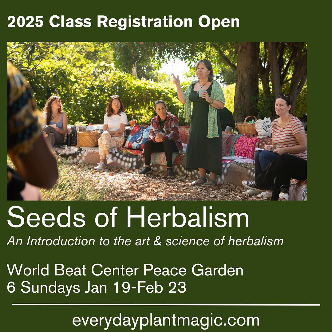 Connect with yourself. 💚
Connect with the plants. 💚
Connect with green hearted folks. 💚

Seeds of Herbalism - An Introduction to the Art &amp; Science of Herbalism
Class begins Sunday Jan 19, 2025 
Learn more everydayplantmagic.com or link in prof