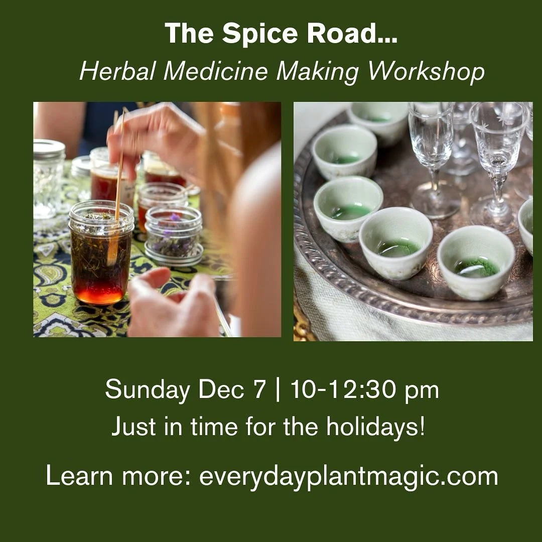 If you have taken a clss within me you know I&rsquo;m a student of history. One of my favorite (there are so many!) aspects of being an herbalist is the opportunity to explore and learn about the plants that are intertwined in our very DNA as humans.