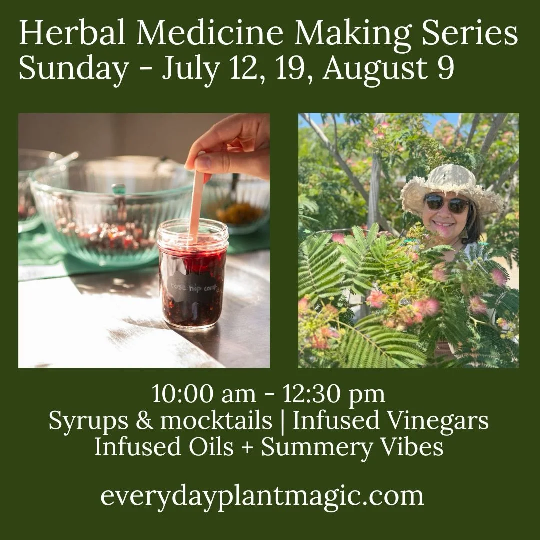 Herbal Medicine Making for Summer Fun
Join me for a playful and educational herbal medicine making class. Over 3 classes we will explore how to integrate herbs into your summer lifestyle. We will explore refreshing herbal syrups and mocktails, learn 